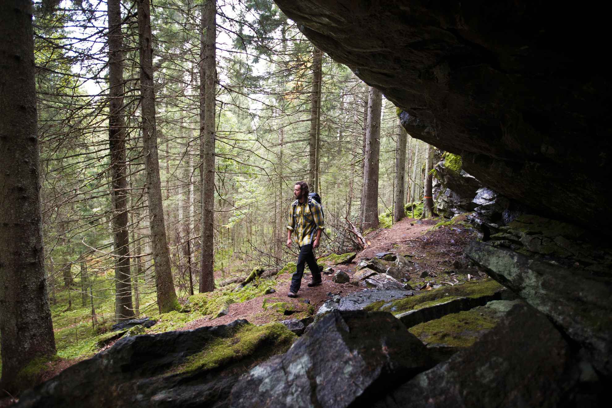 Un homme fait une randonnée sur un sentier forestier à Glaskogen. Des rochers au premier plan et de nombreux arbres derrière lui.