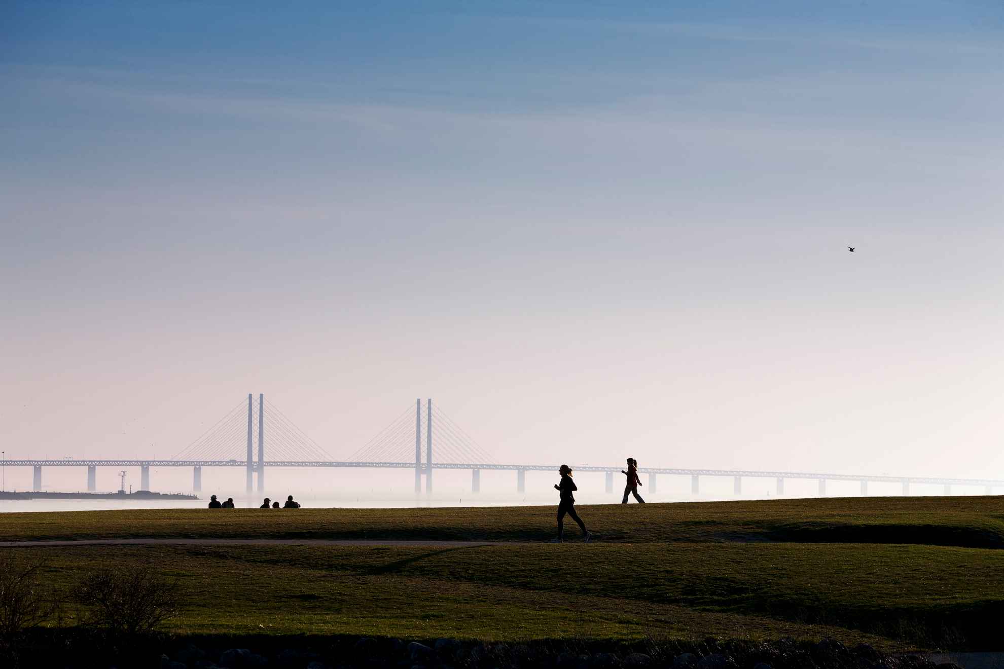 Le pont de Öresund au coucher du soleil. Quelques personnes courent au premier plan.