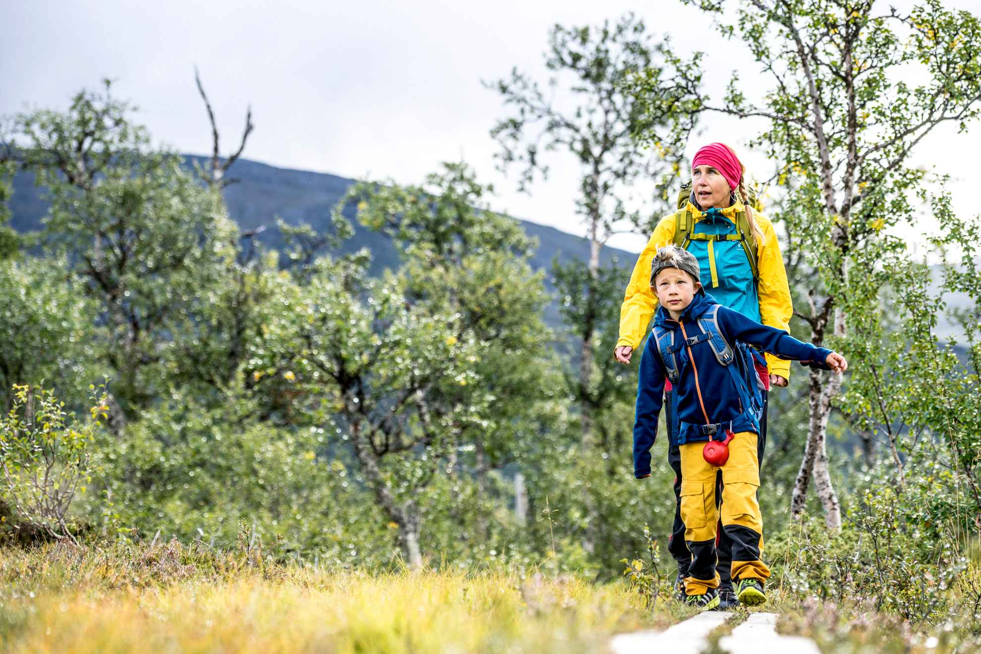 Un adulte et un enfant marchent sur un sentier en bois dans une forêt de basse montagne, portant des vêtements de plein air colorés et des sacs à dos.