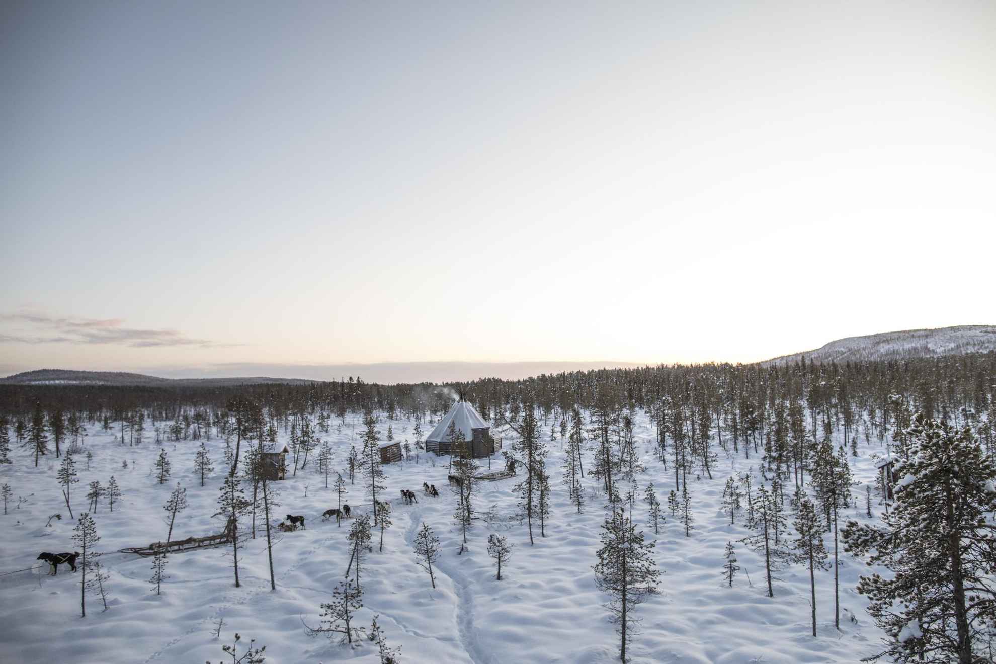 Balade en traîneau à chiens en Laponie suédoise