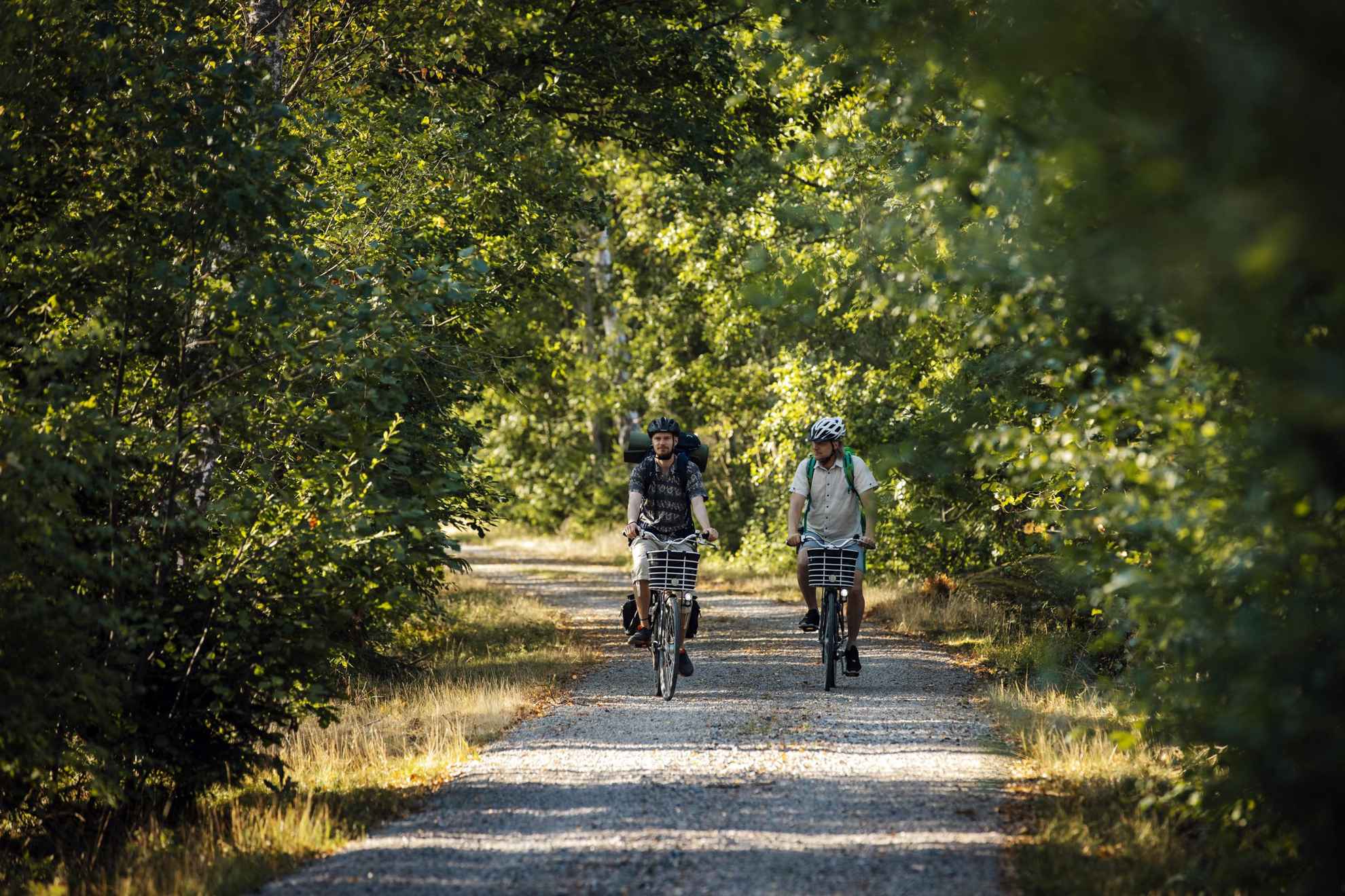 Faire du vélo dans la région de Småland