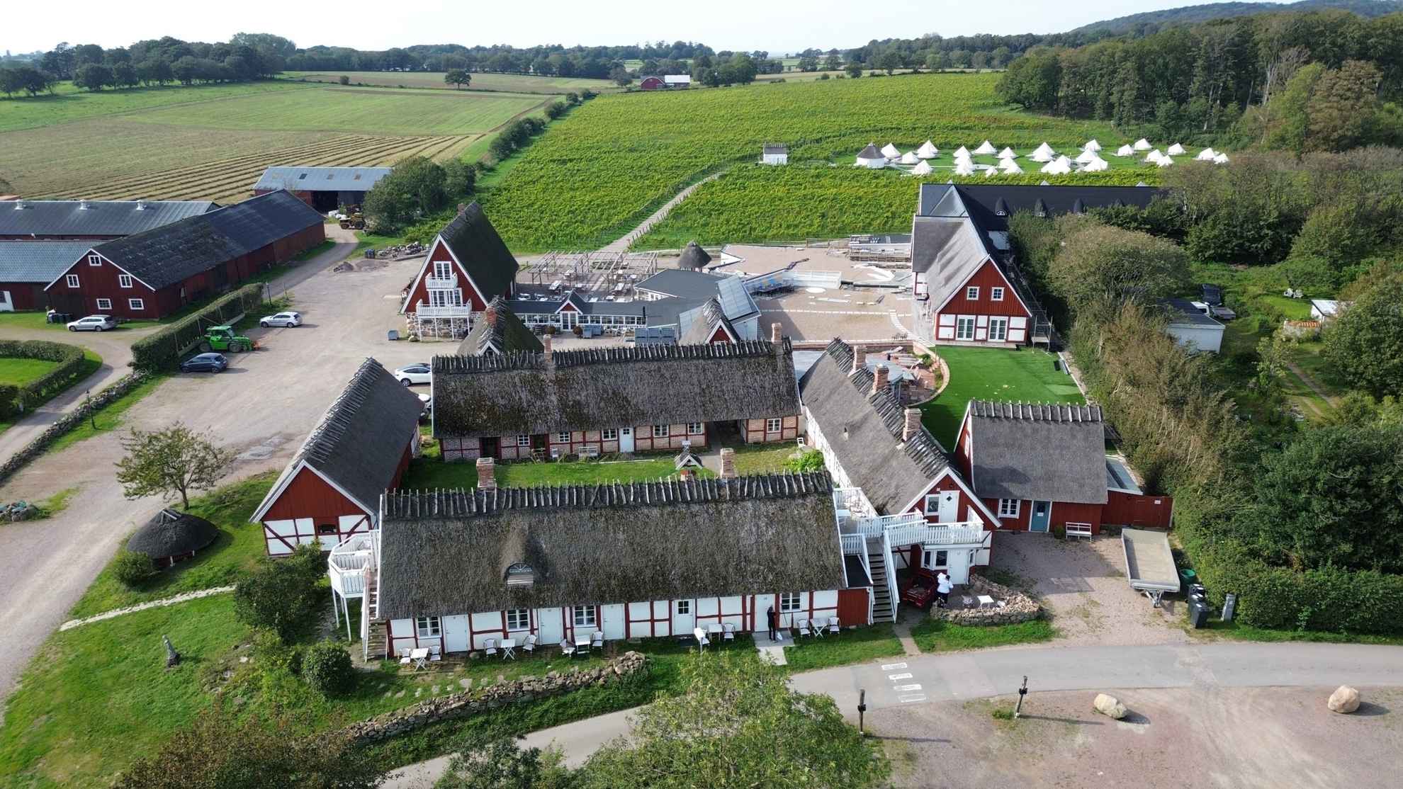 Le vignoble d'Arild avec ses maisons rouges et blanches, ses vignes en arrière-plan et ses tentes de camping.