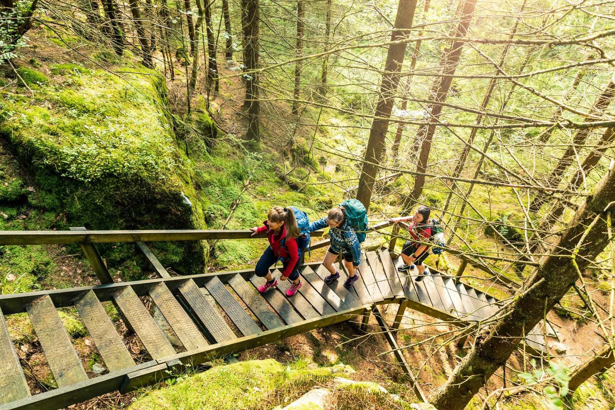 Trois personnes avec des sacs à dos montent un escalier extérieur en bois dans une forêt.