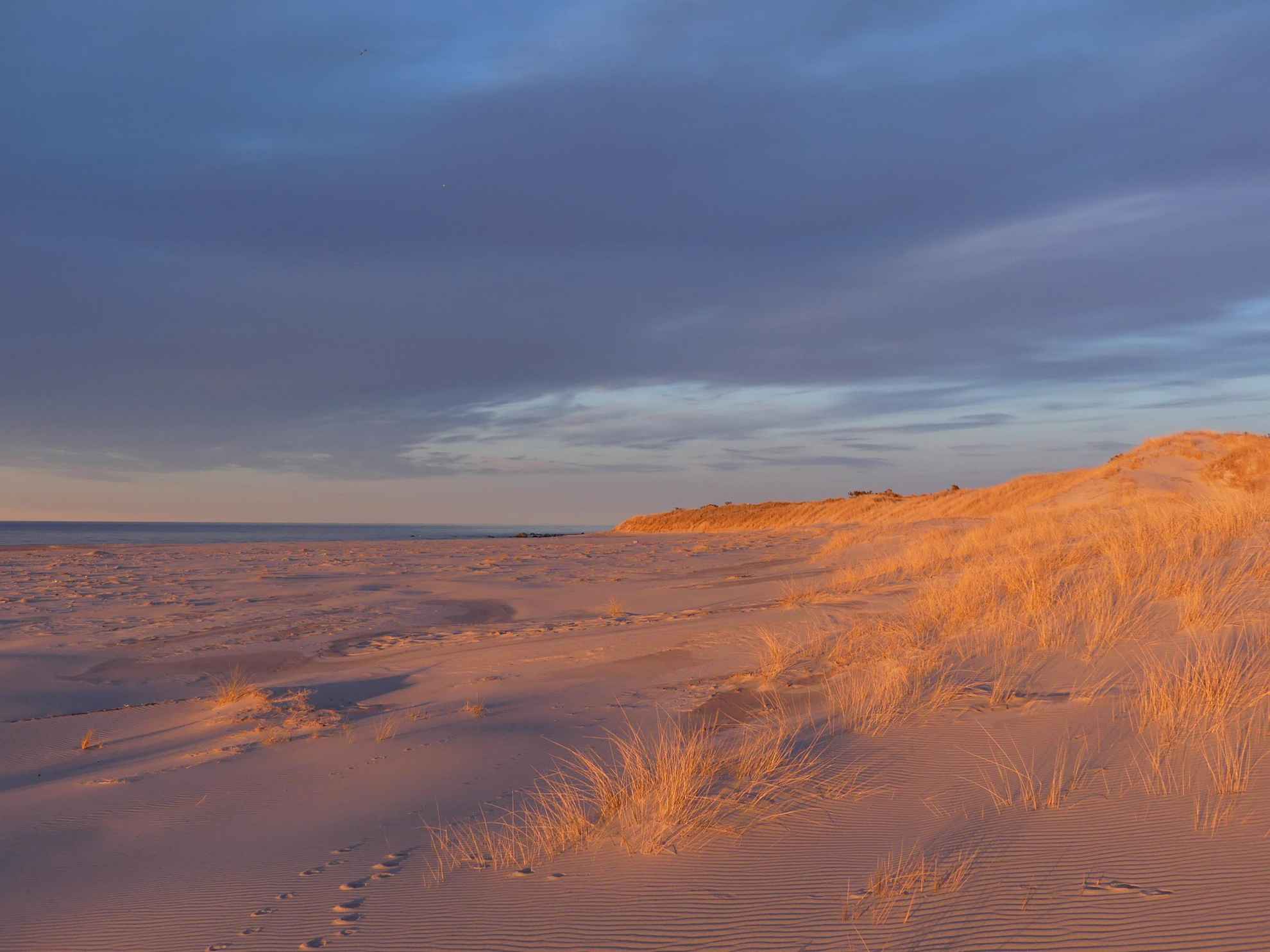 Une plage avec des dunes de sable et une herbe dorée sur la partie droite. On voit la mer au loin.