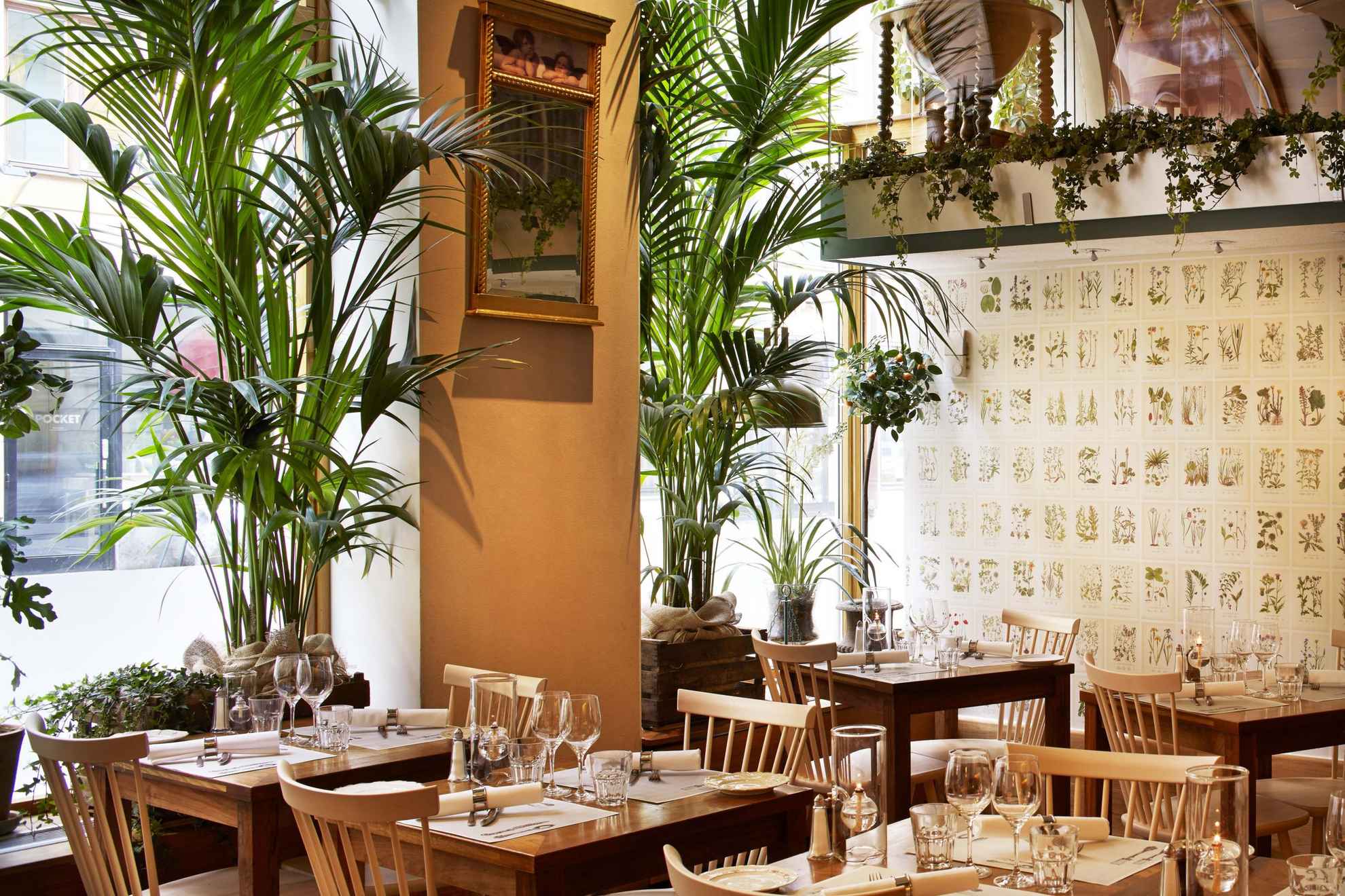 Un restaurant avec des chaises et des tables en bois. Des plantes décorent les bords des fenêtres.