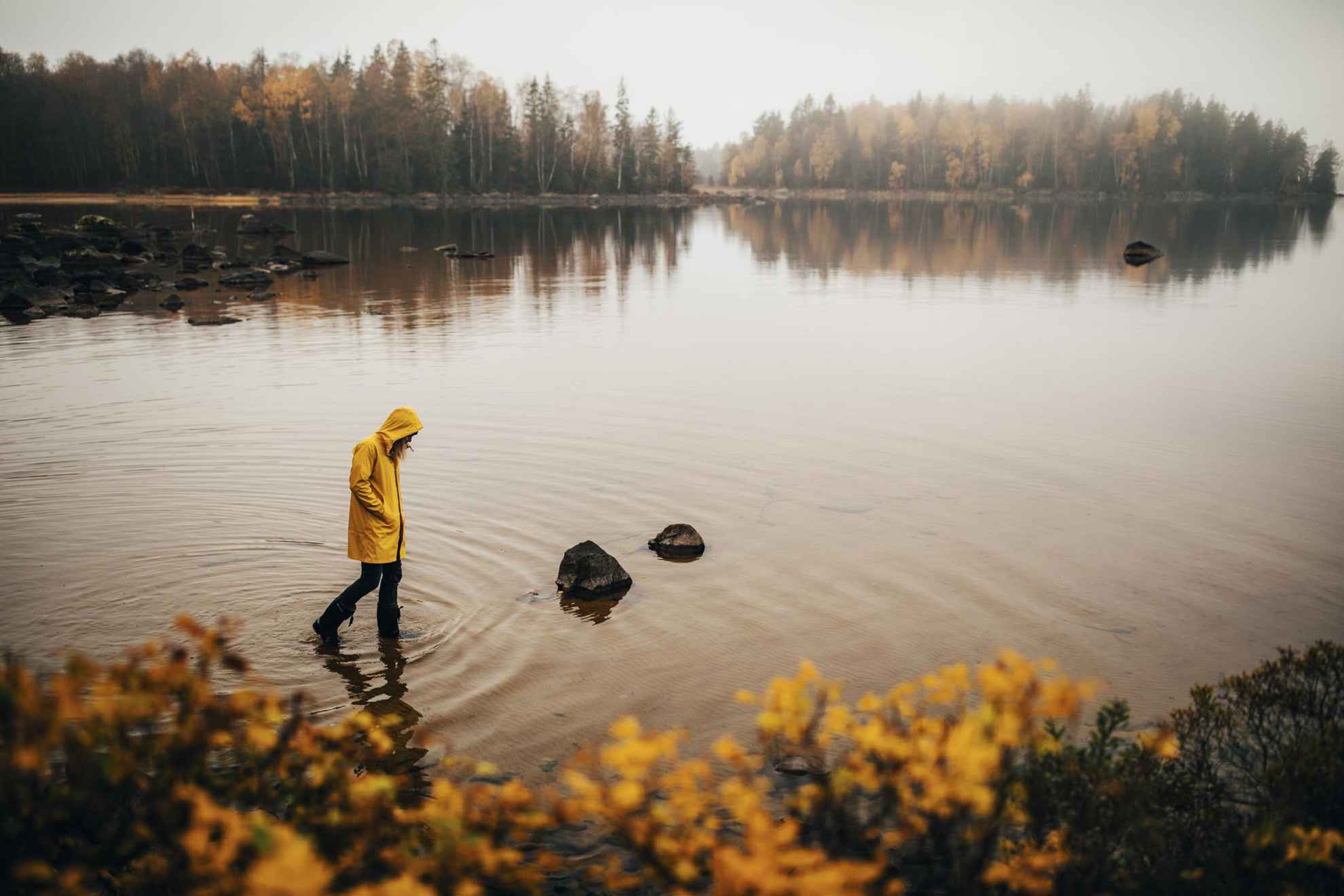Une personne dans un imperméable jaune et avec des bottes en caoutchouc marche dans l'eau. Il y a des arbres aux feuilles jaunes au bord du lac.