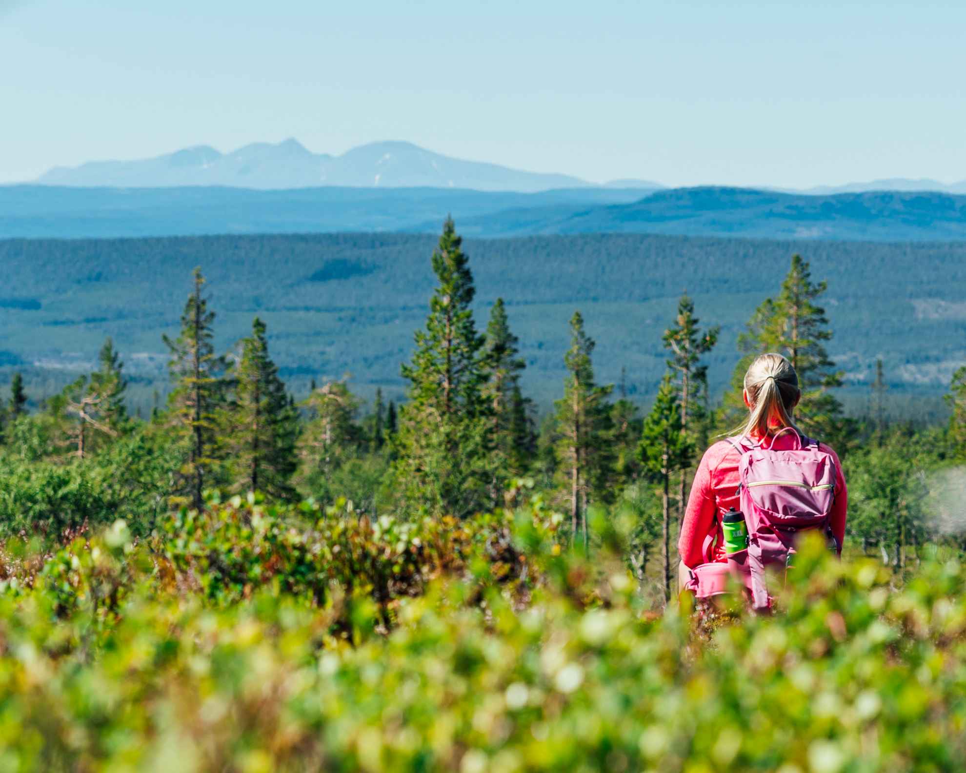 Une femme avec du matériel de randonnée, debout dans la nature, regardant les montagnes.