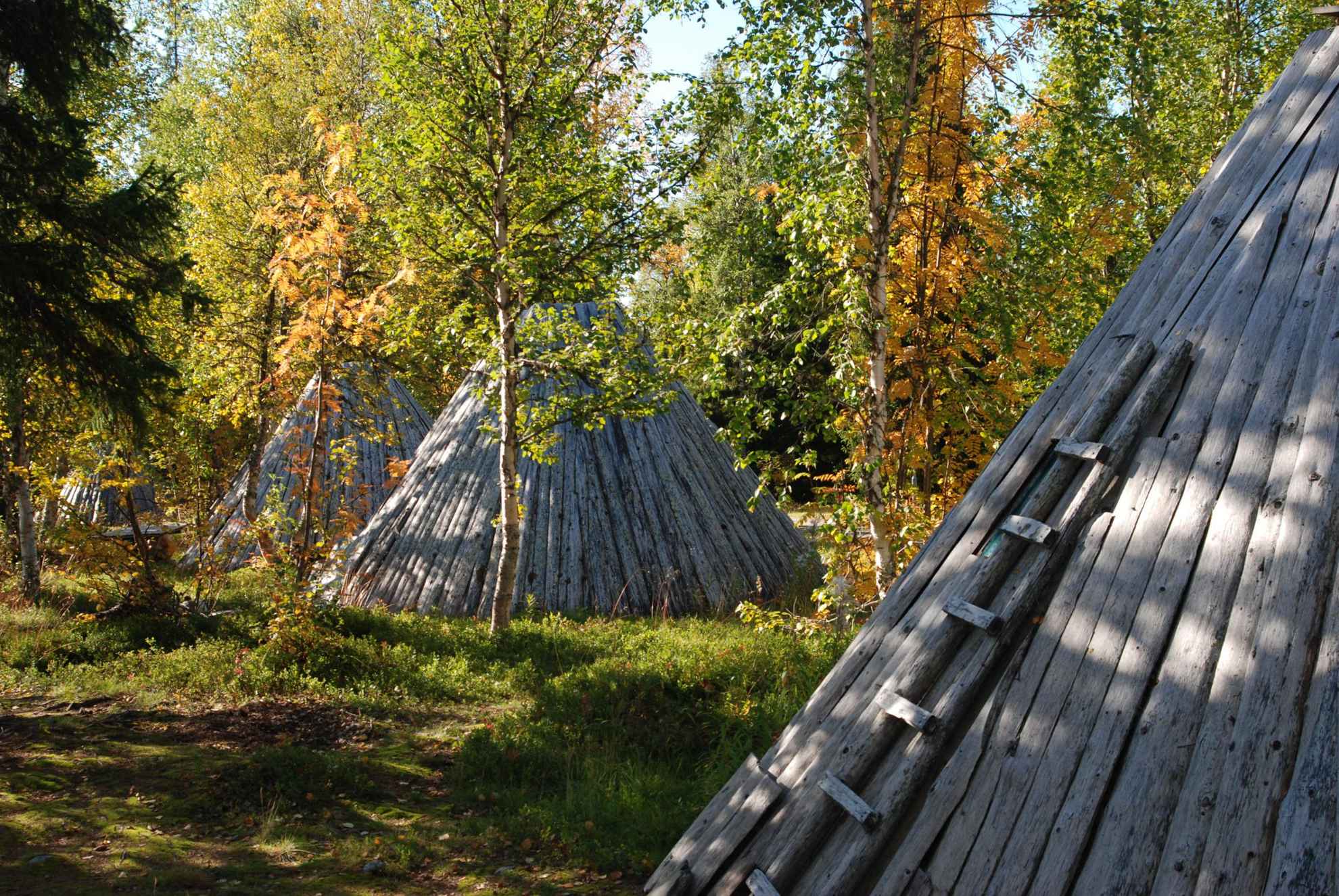 Trois huttes en bois entourées d'arbres aux nuances automnales.