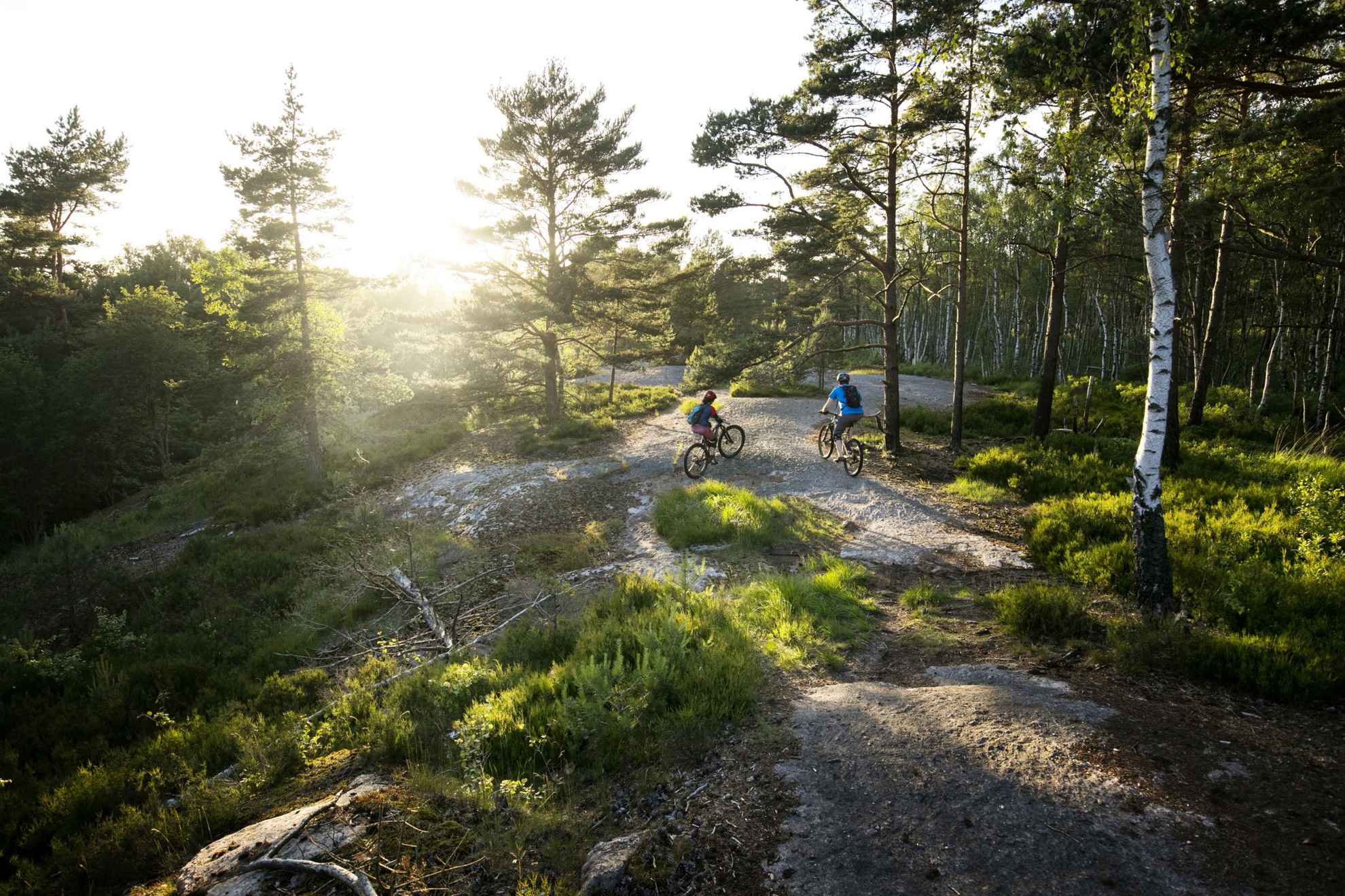 Vélo de montagne à Delsjön, Göteborg
