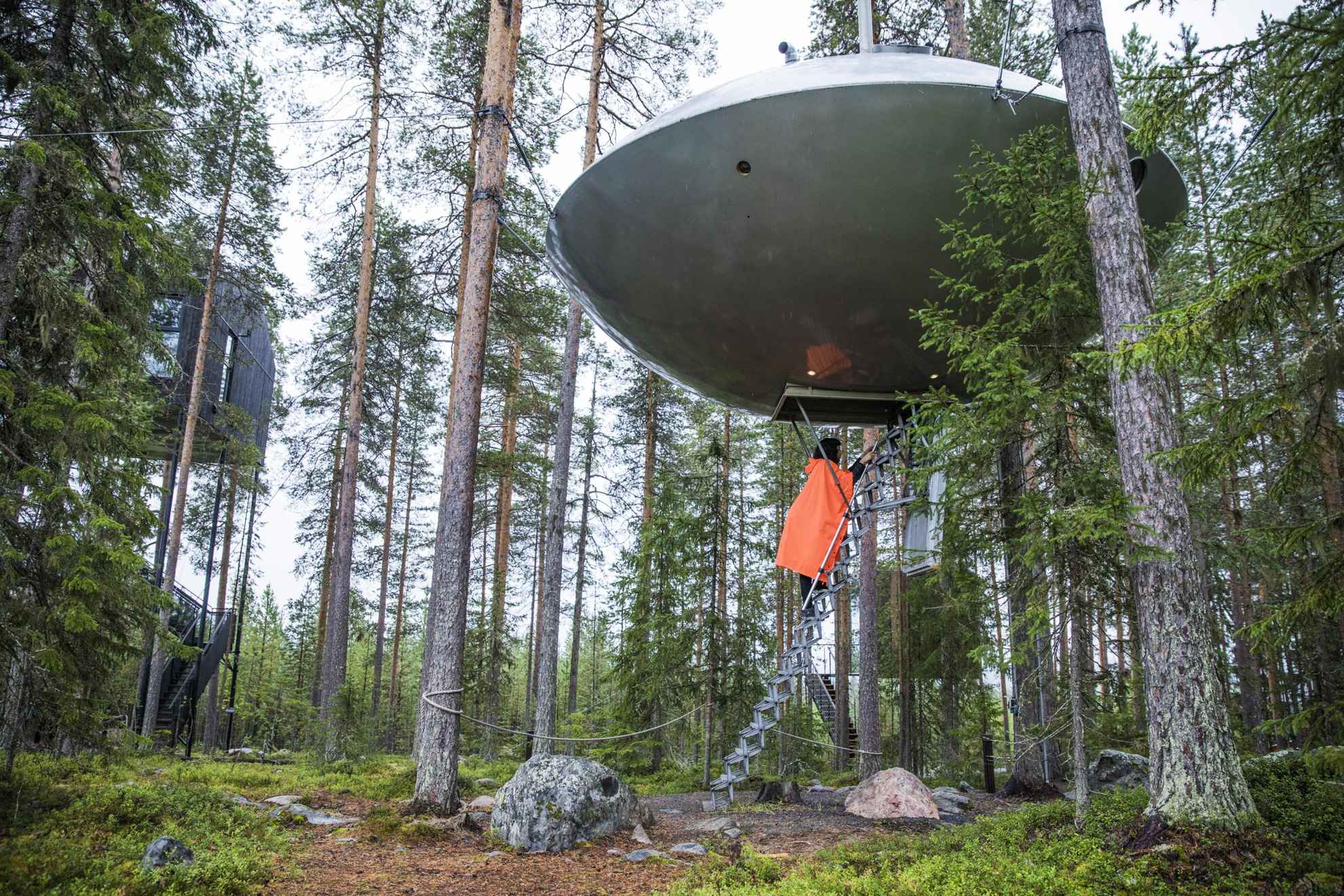 Une femme est sur une échelle pour monter à une cabane dans les arbres conçue comme un OVNI et située dans la cime des pins, dans une forêt de Laponie suédoise.