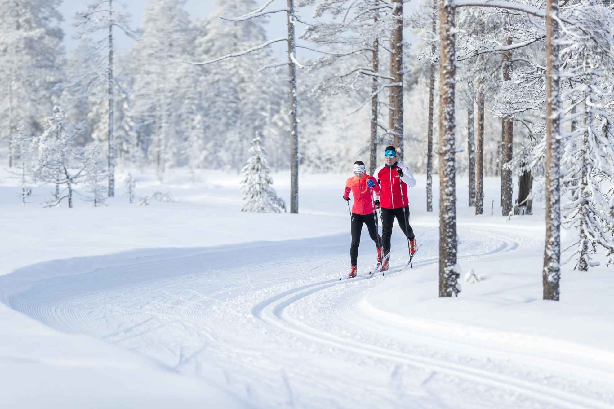 Deux personnes en veste rouge font du ski de fond dans une forêt enneigée.