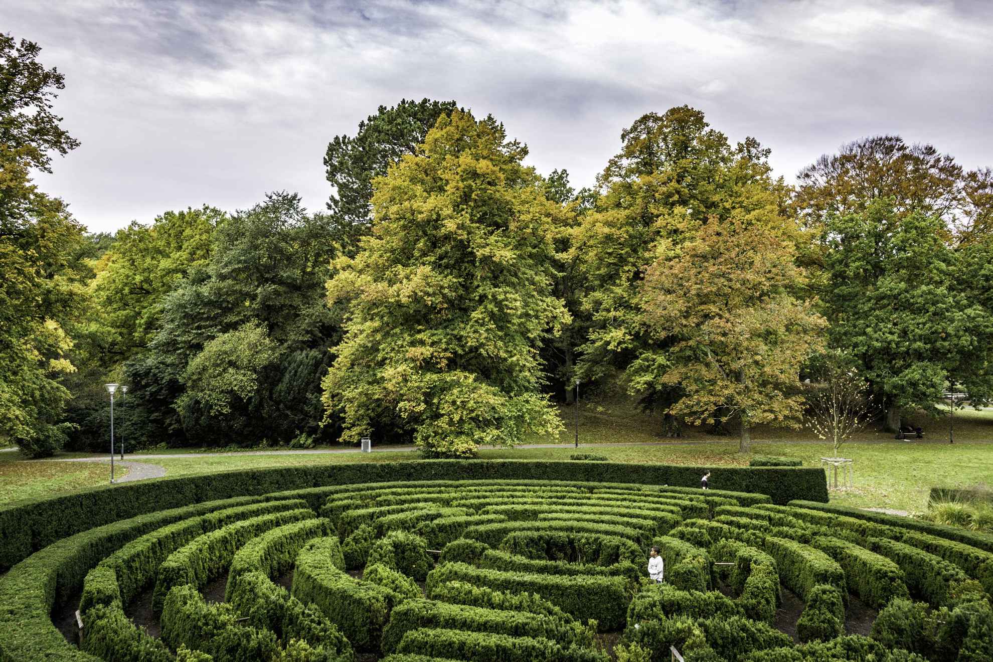 Un labyrinthe fait de haies dans un parc pendant l'été.
