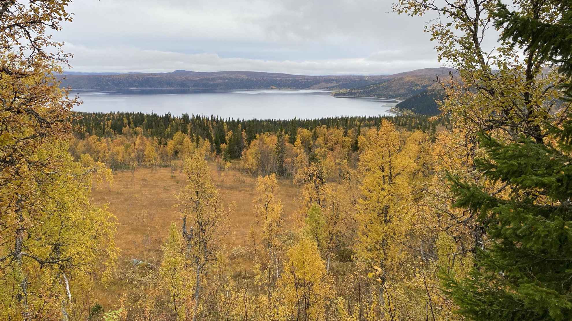 Un lac est entouré de montagnes et de forêts. Les arbres ont des couleurs d'automne jaune et orange.