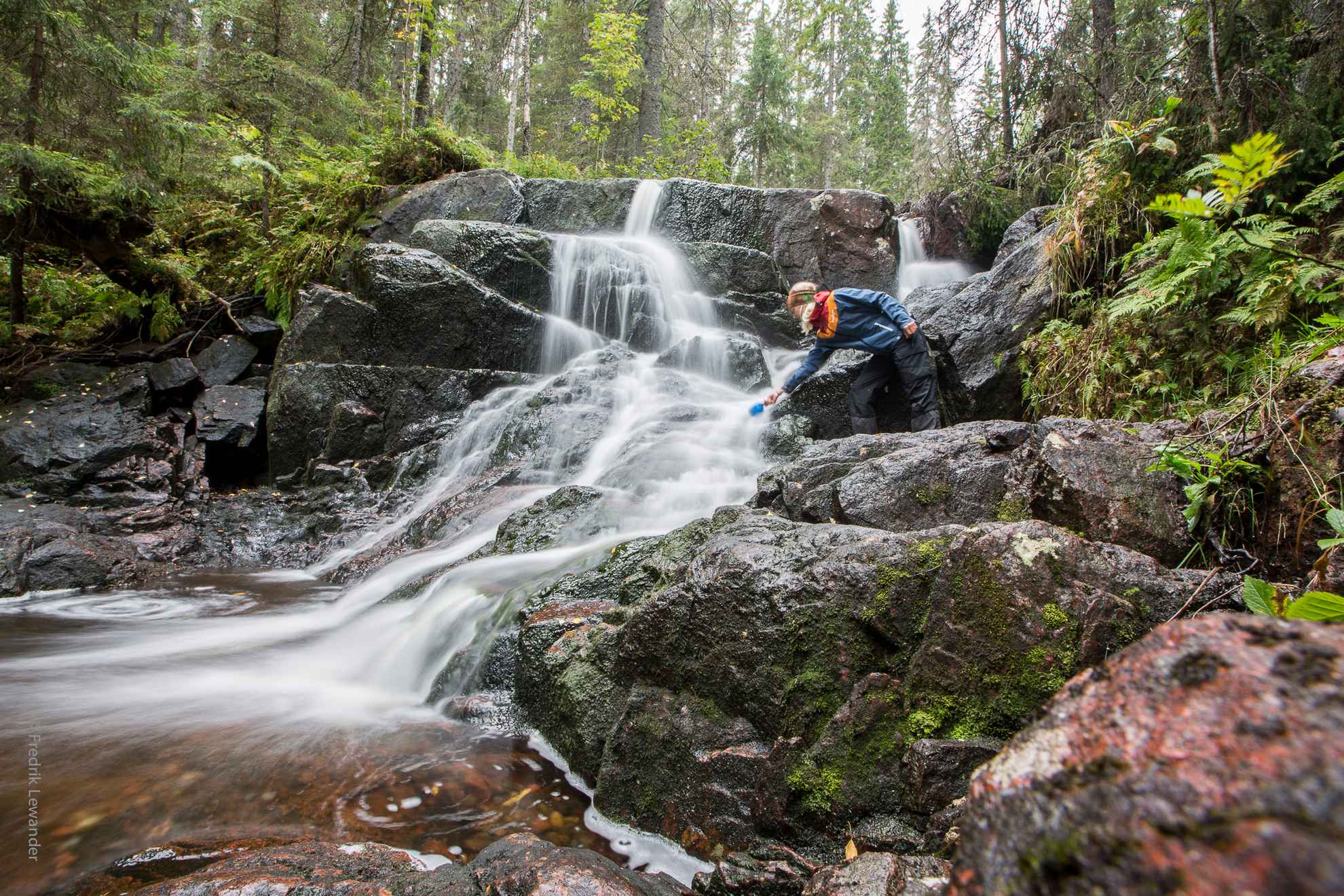 Une personne essaie de prendre de l'eau dans un ruisseau dans une forêt luxuriante.