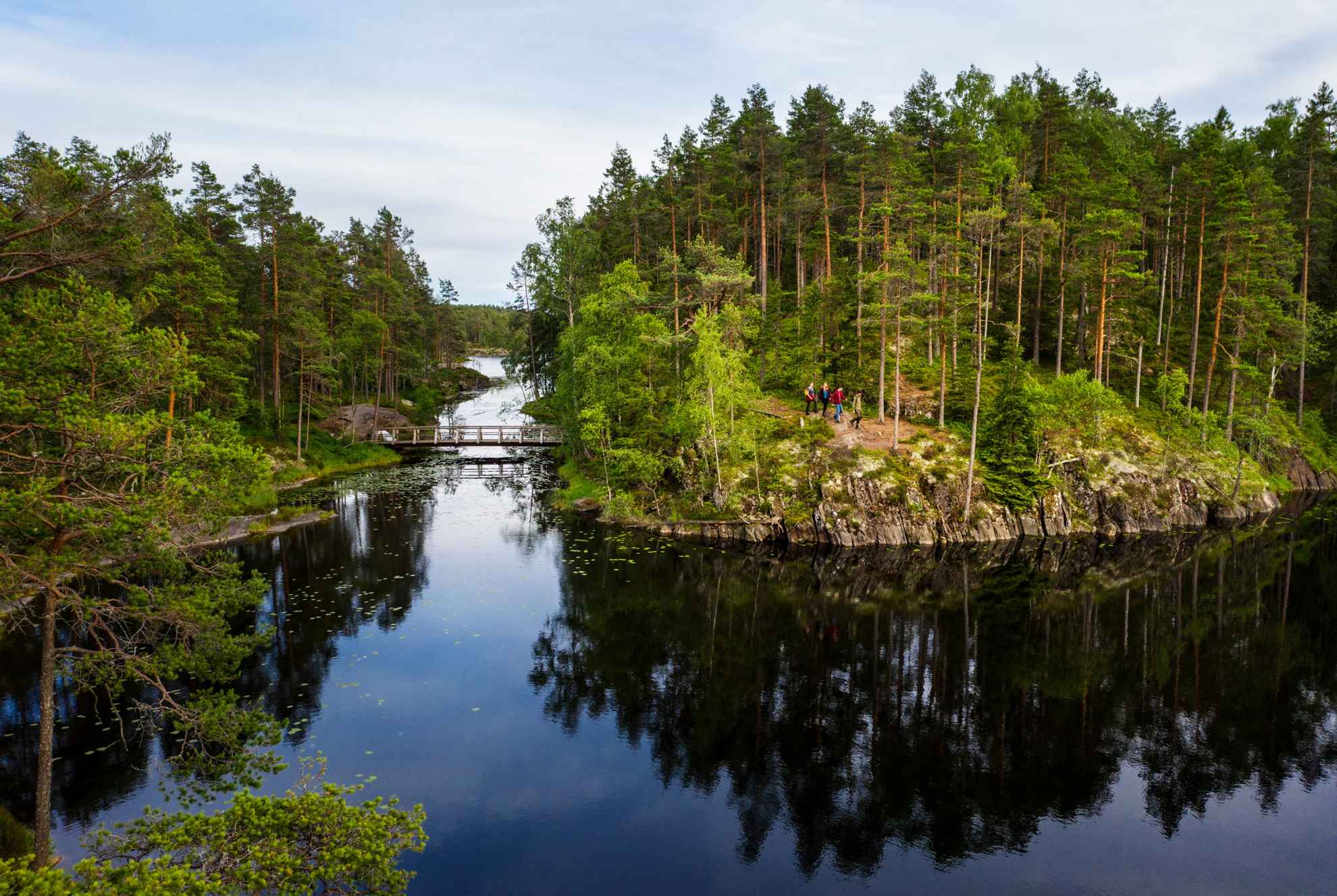 Quatre personnes se promènent en été dans une forêt au bord d'un lac.