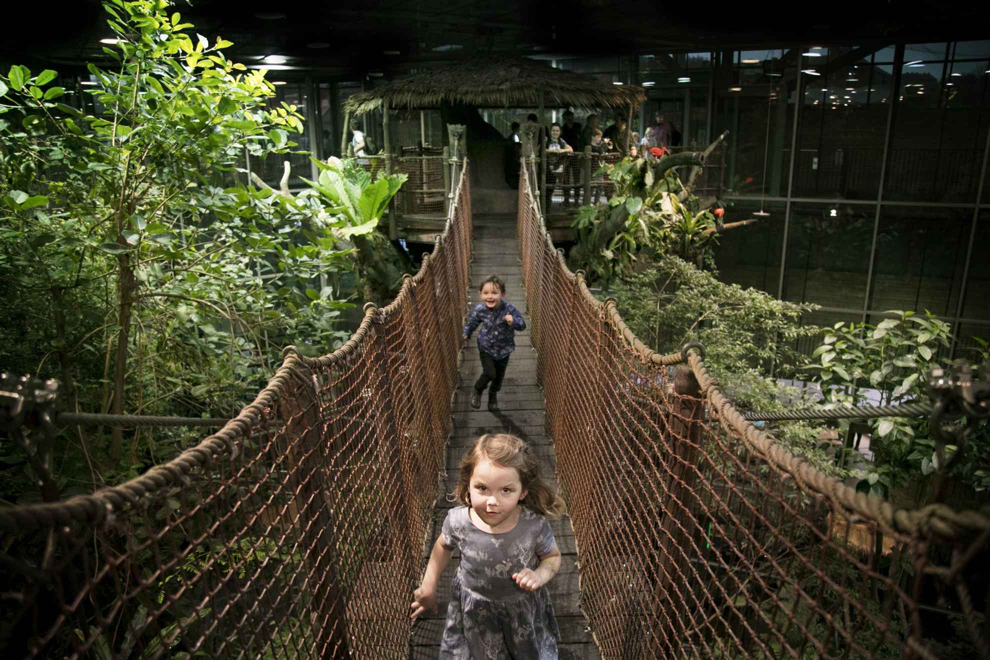 Deux enfants courent et traversent un pont suspendu dans le centre scientifique Universeum.