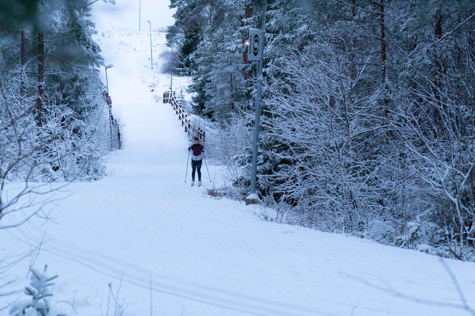 Une personne fait du ski de fond sur des pistes préparées dans la nature.