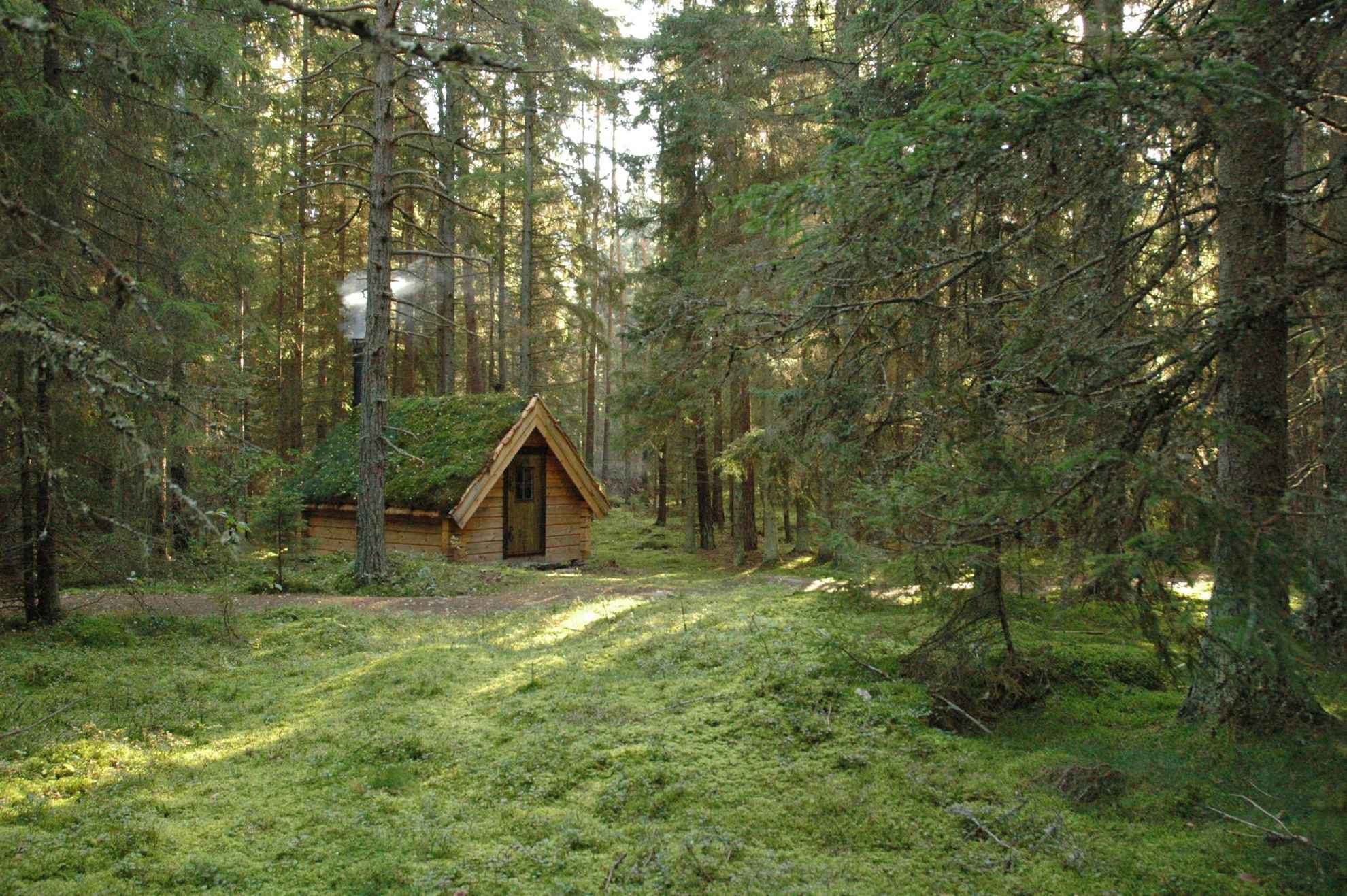 Un cottage au toit de chaume se trouve en pleine forêt en Suède.