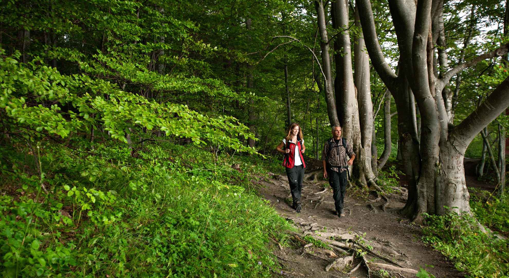 Un homme et une femme marchant sur un sentier dans la forêt.