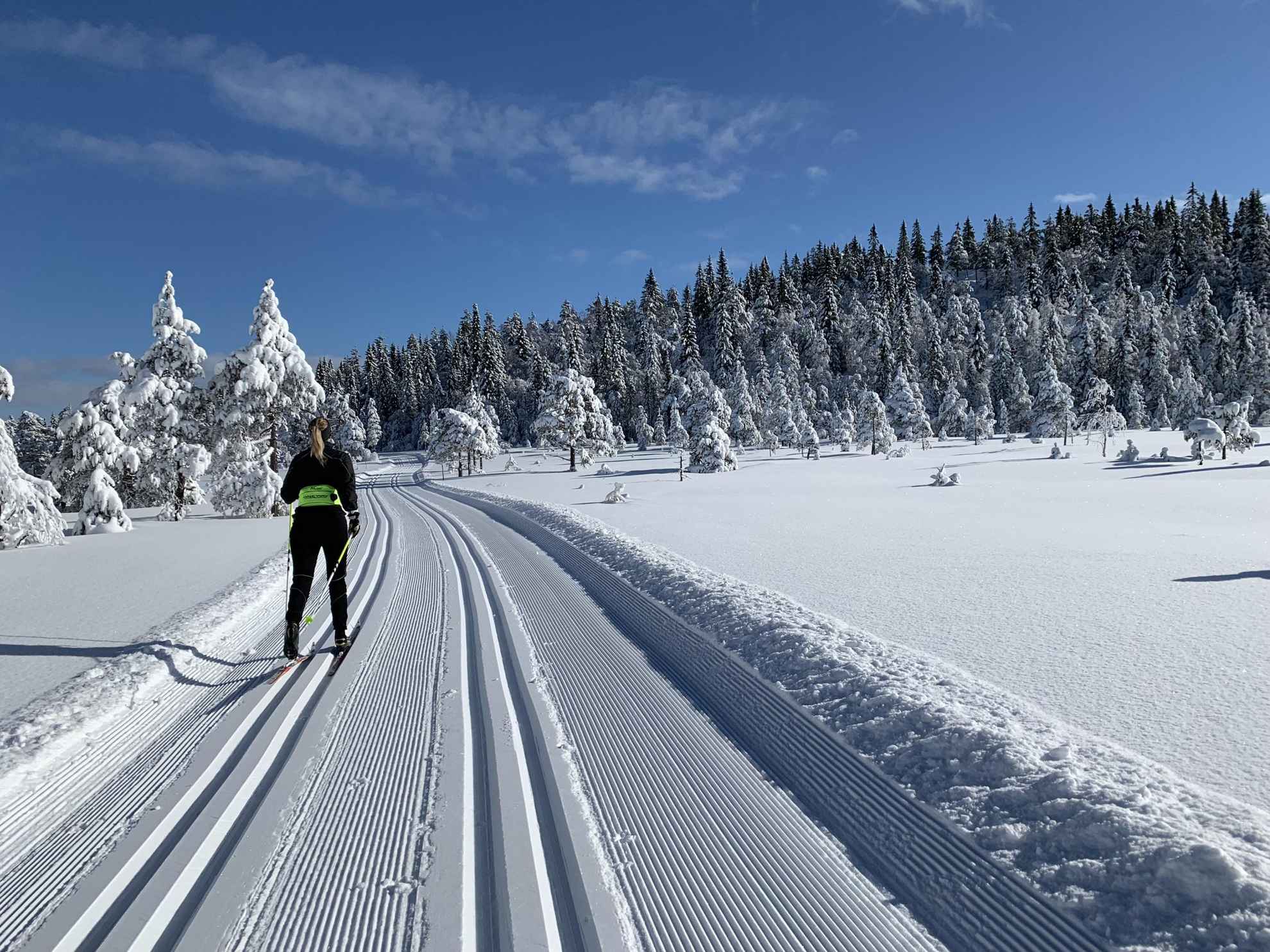 Une femme fait du ski de fond sur des pistes préparées dans la nature.