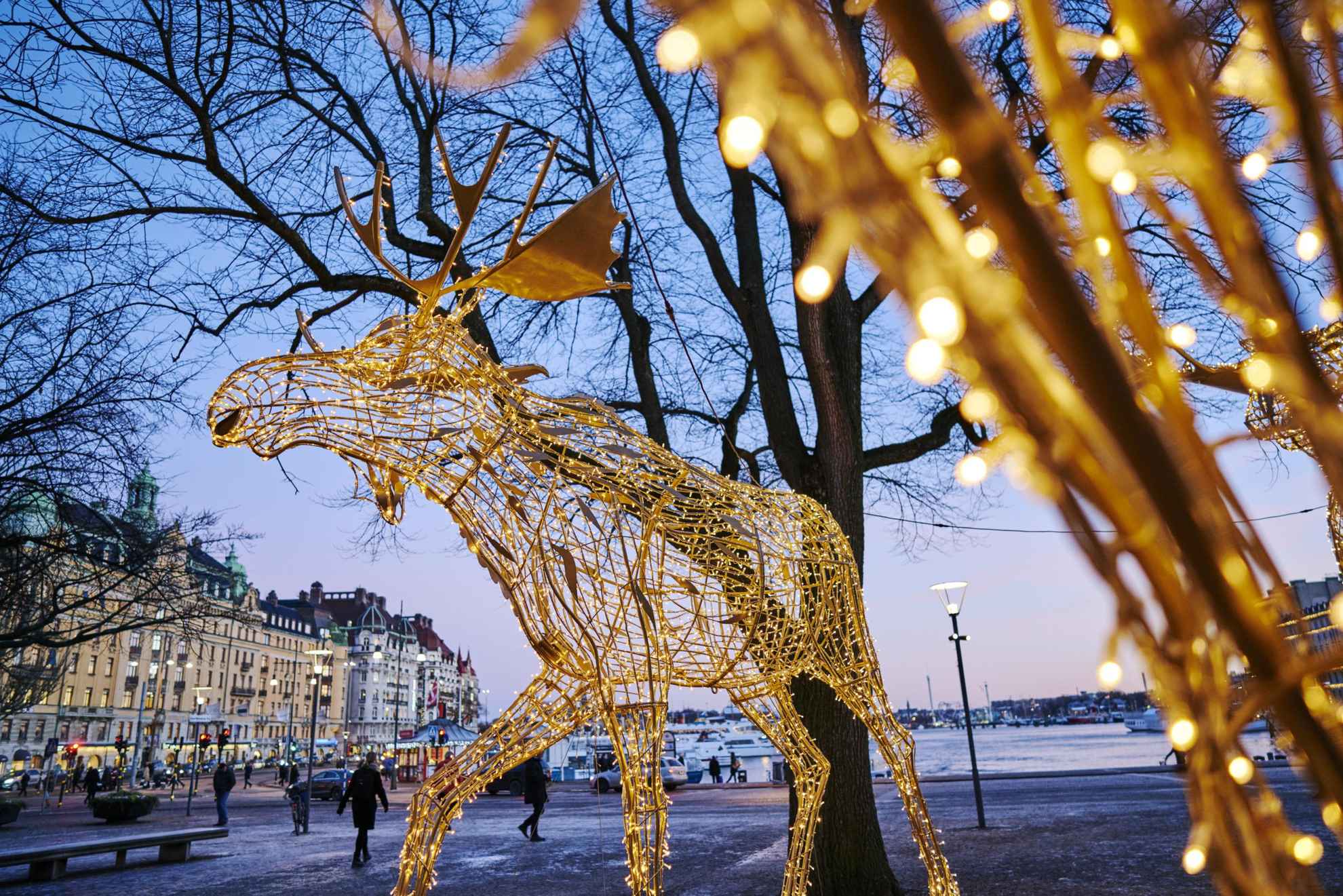 A moose built out of wires and lights stands in a park in a city by the water.