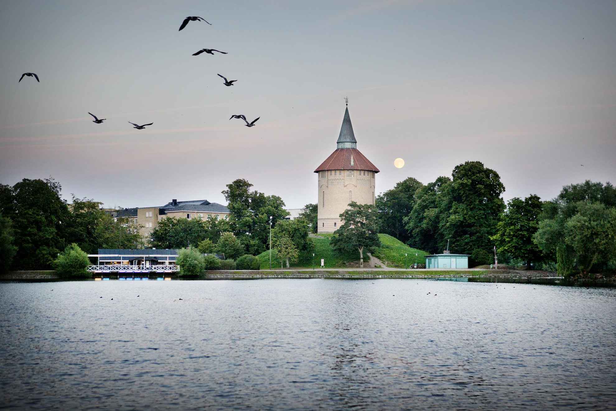 Sur la photo, on voit une tour du parc Pildammsparken entourée de verdure. Devant la tour se trouve un étang et des oiseaux qui le survolent.