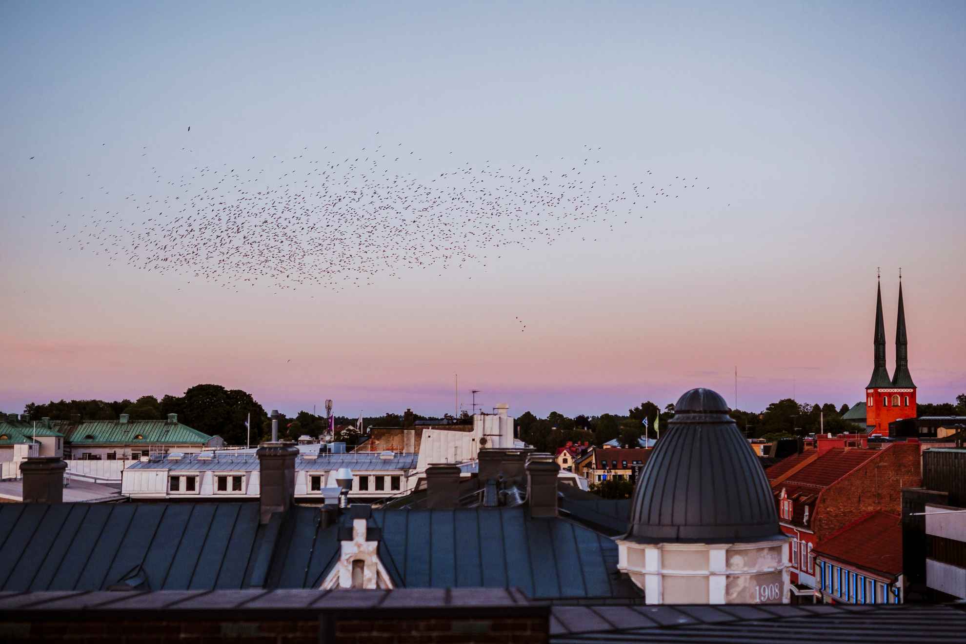 Vue sur les toits de Växjö à la tombée de la nuit. Des oiseaux s'envolent dans le ciel.