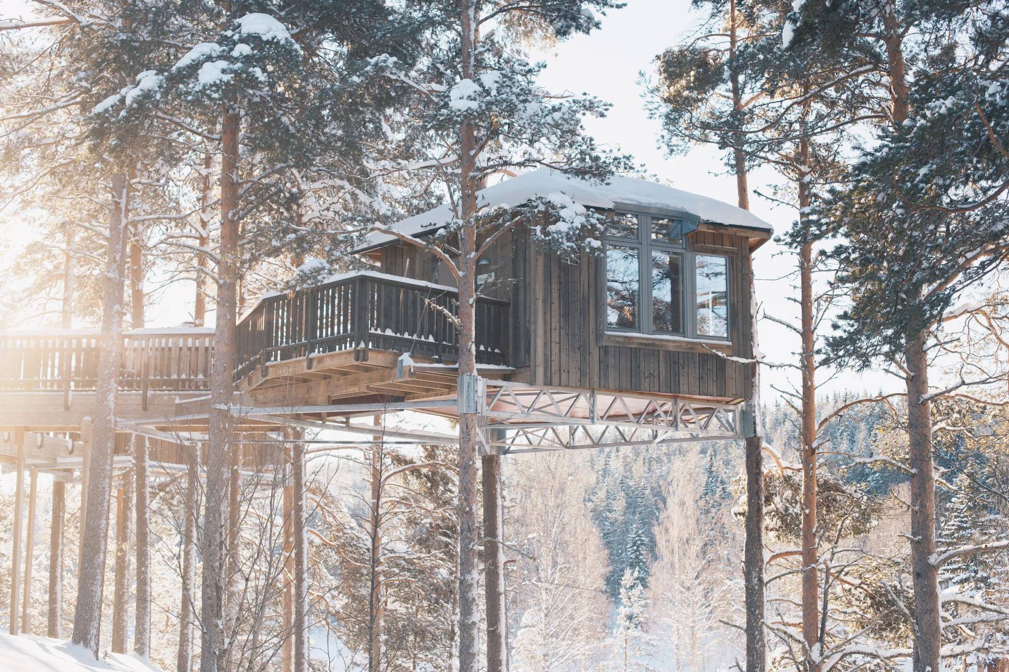 Vue en contre-plongée d'une cabane en bois dans un paysage hivernal en pleine forêt.