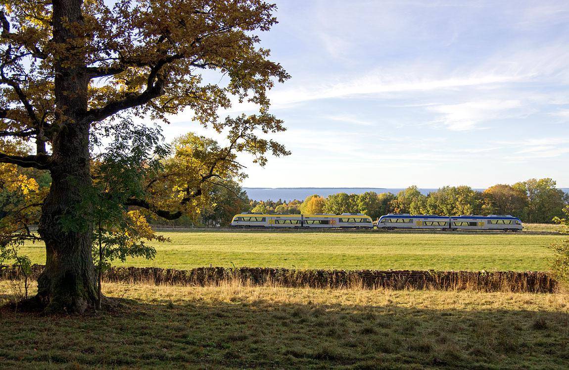 Un train traverse un champs durant l'automne.
