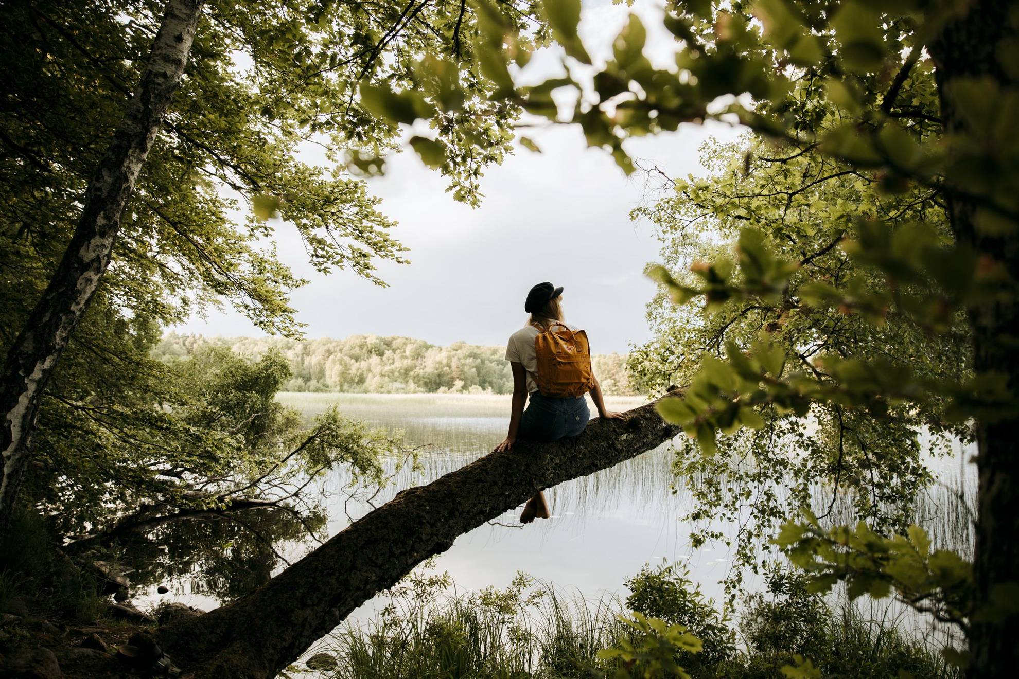 Une personne avec un sac à dos est assise sur le tronc d'un arbre incliné et regarde vers un lac.