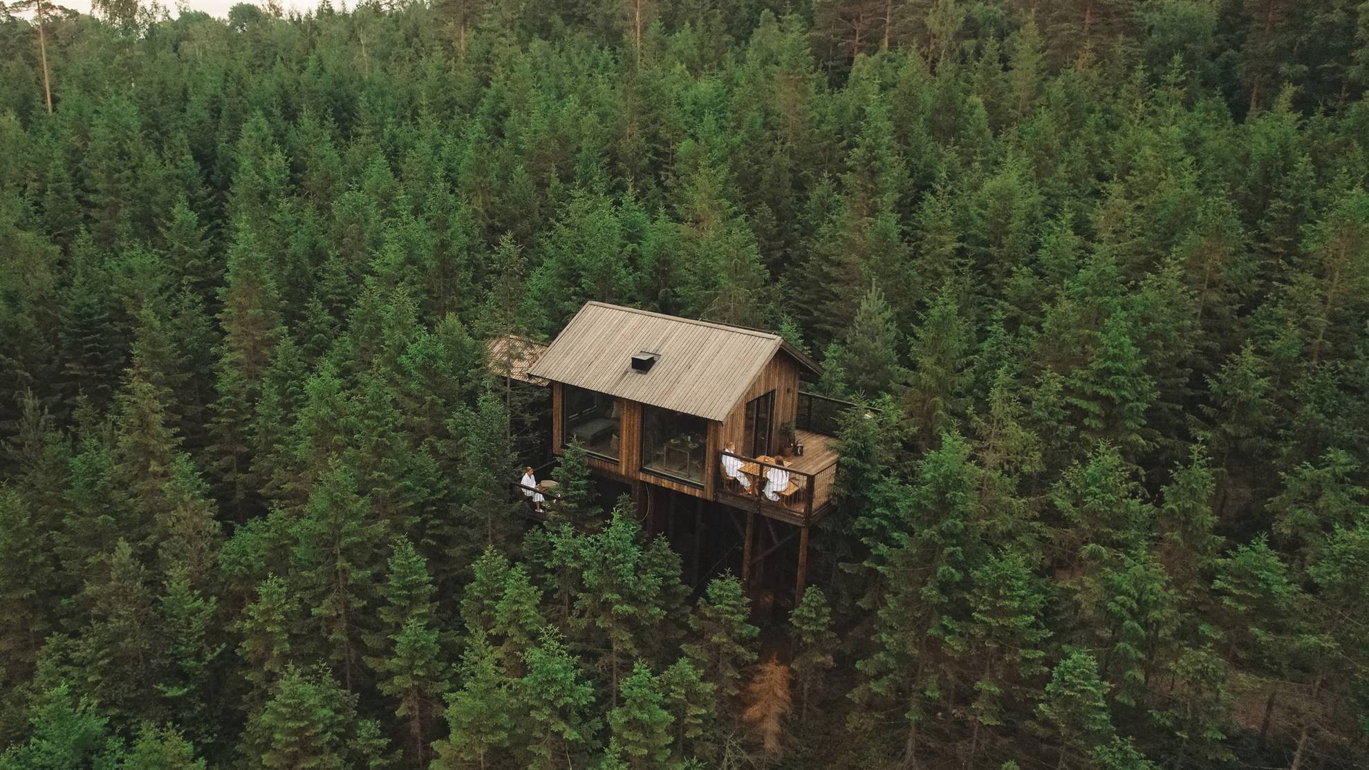Cabin in the trees at Hyssna Forest Resort