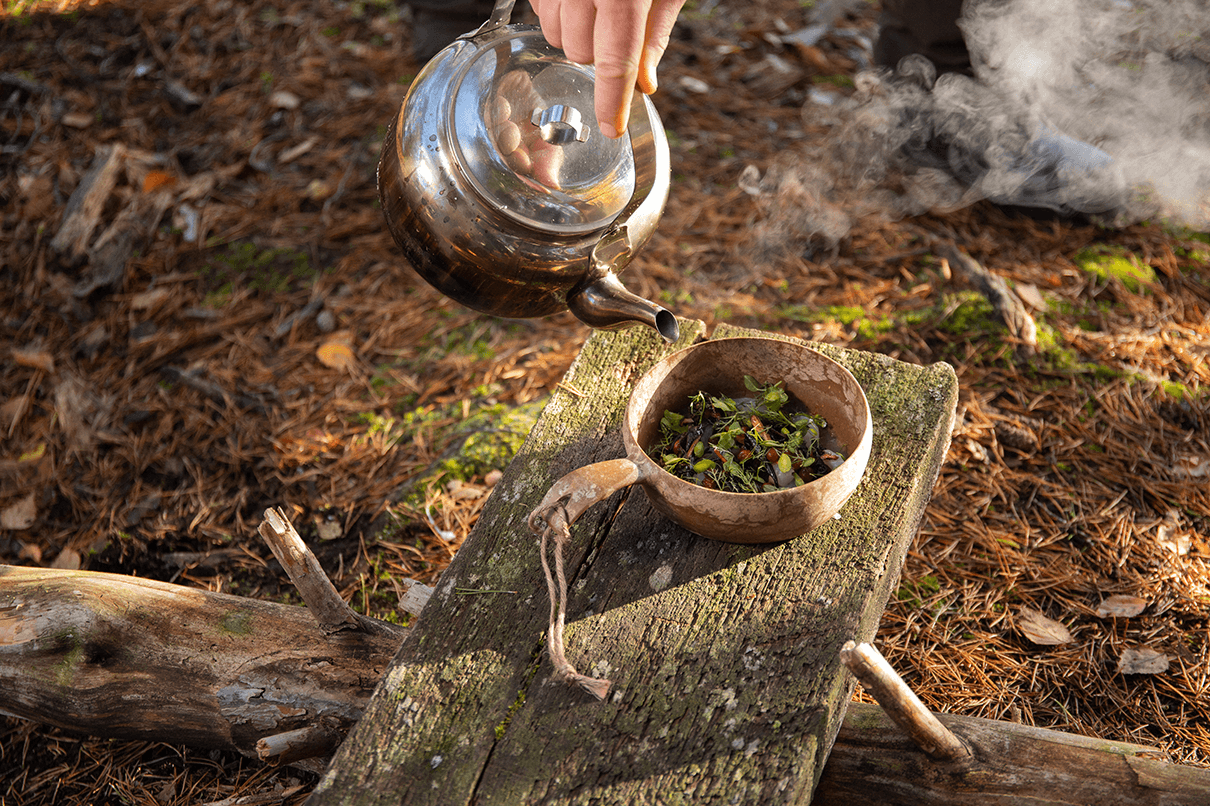 A pot of water being poured over some edible plants on a bench in the forest