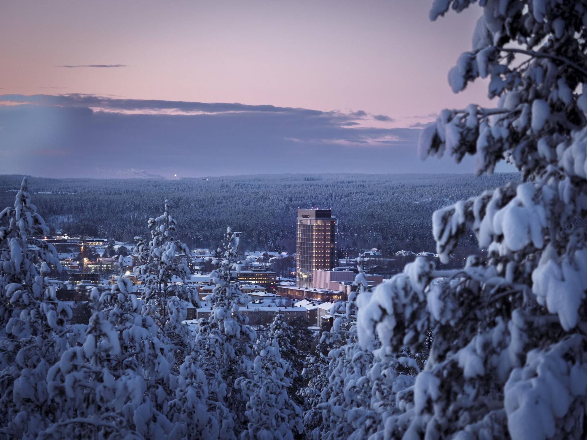 Une vue lointaine d'une ville sous la neige entourée d'arbres.  The Wood Hotel est le plus grand bâtiment de la ville.