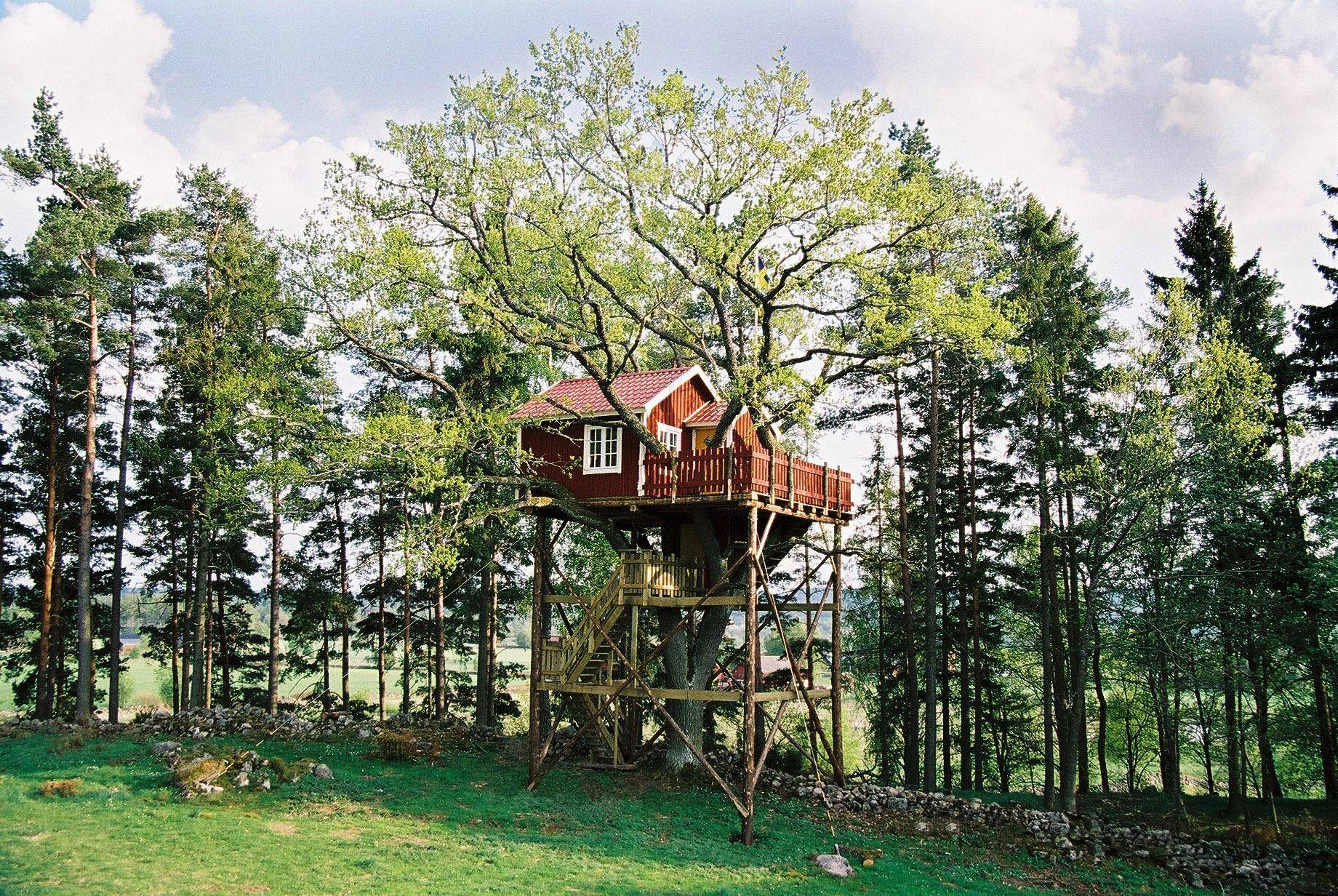 Une cabane en bois située à 6,5 mètres au-dessus du sol parmi les branches d'un chêne. Elle possède une terrasse clôturée en bois rouge et est reliée au sol par un escalier en bois.