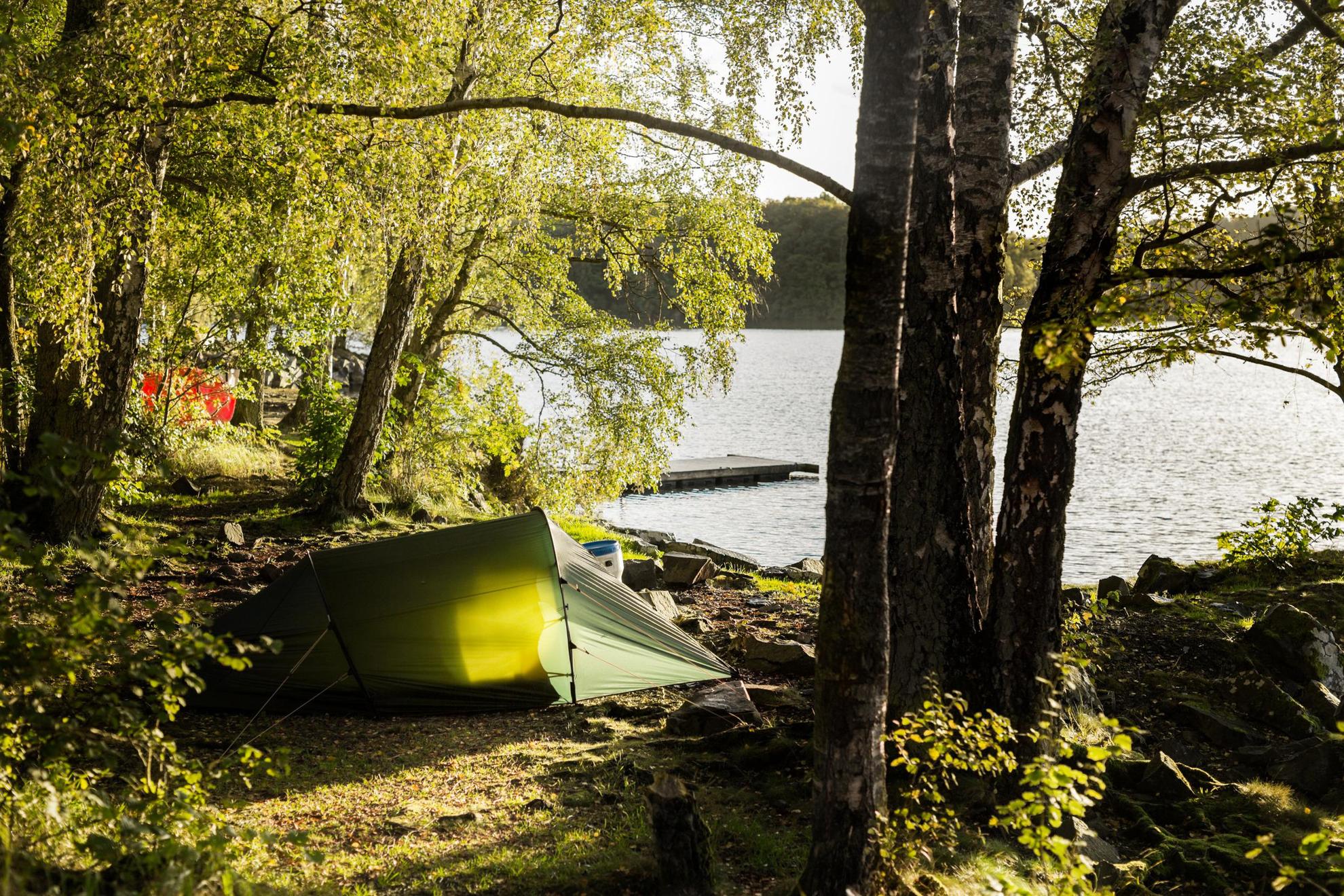 Vue sur une tente verte plantée dans la forêt au bord d'un lac.