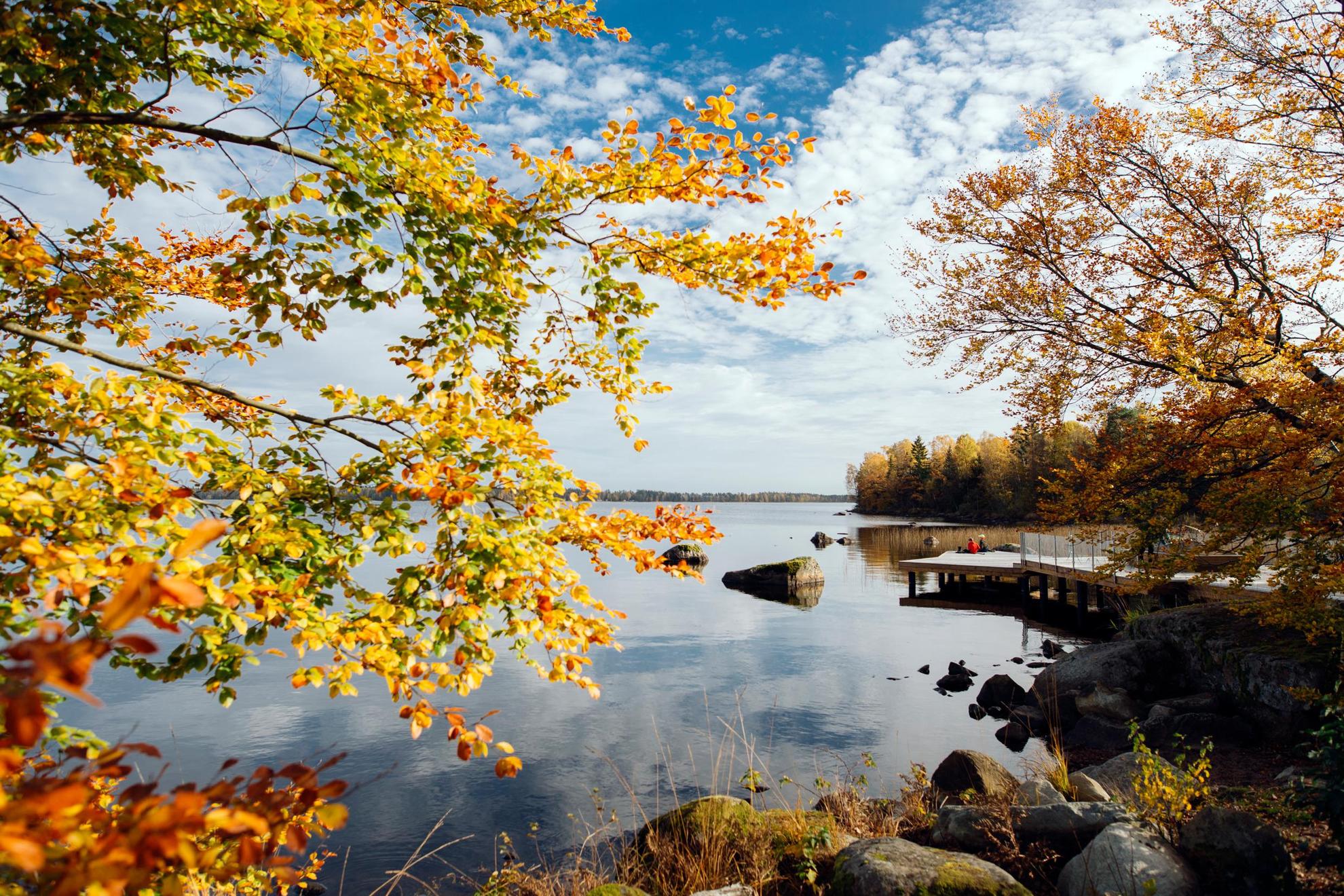 Randonnée d'automne au bord d'un lac