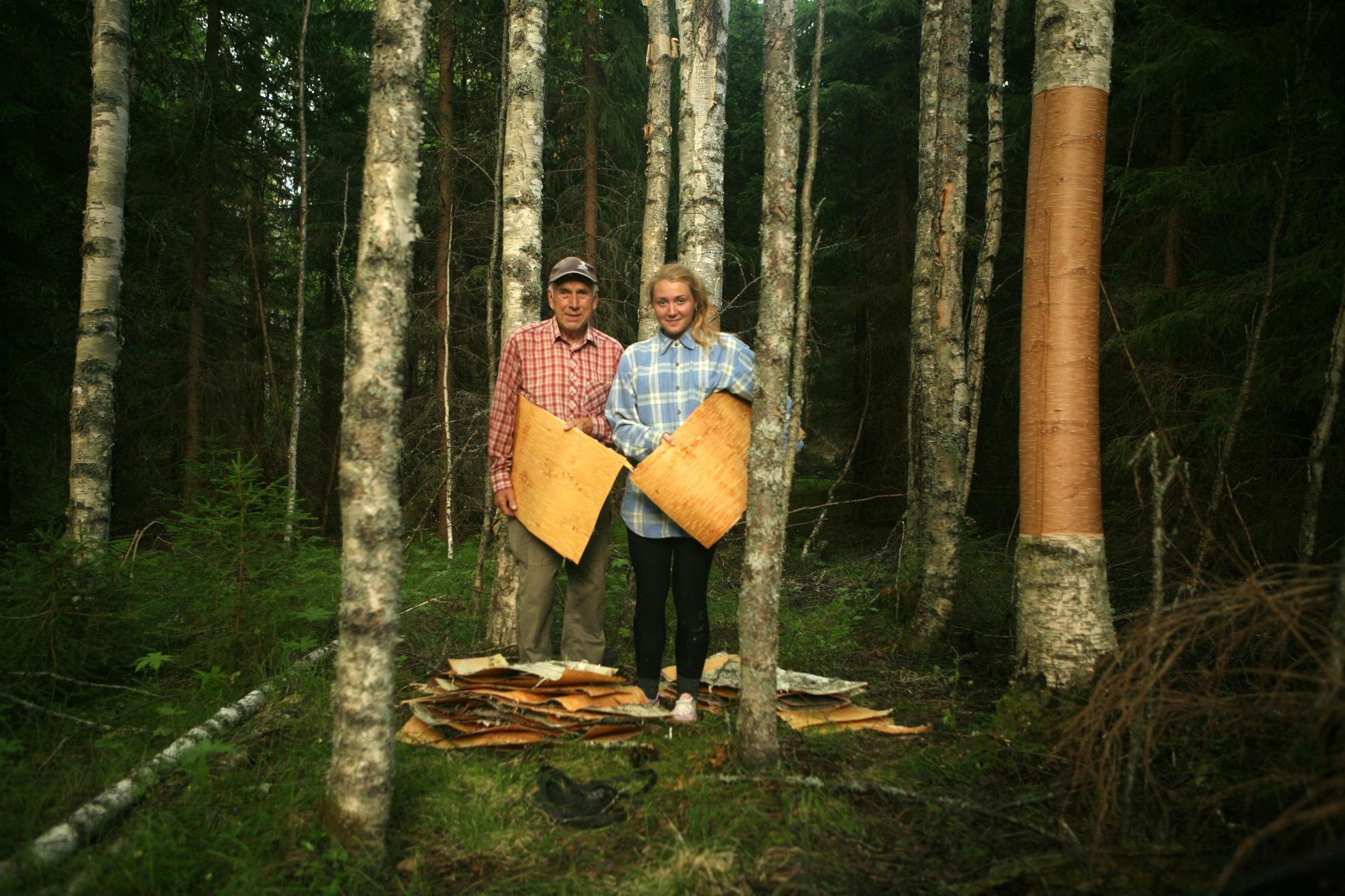 Dans une forêt, un homme et une femme tiennent de gros morceaux d'écorce de bouleau. Il y a d'autres morceaux sur le sol.