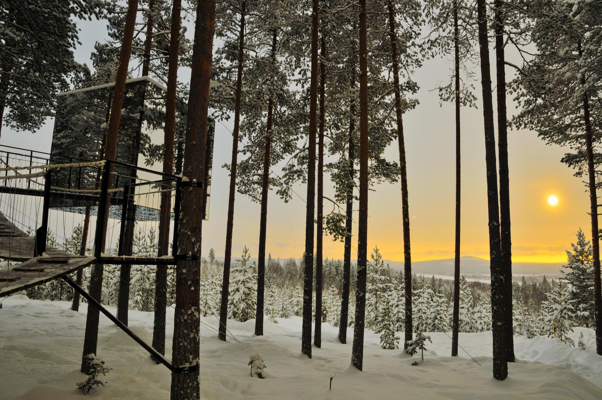 Le Treehotel est un hôtel dans les arbres tout en verre miroir, situé dans une forêt enneigée en Laponie suédoise.