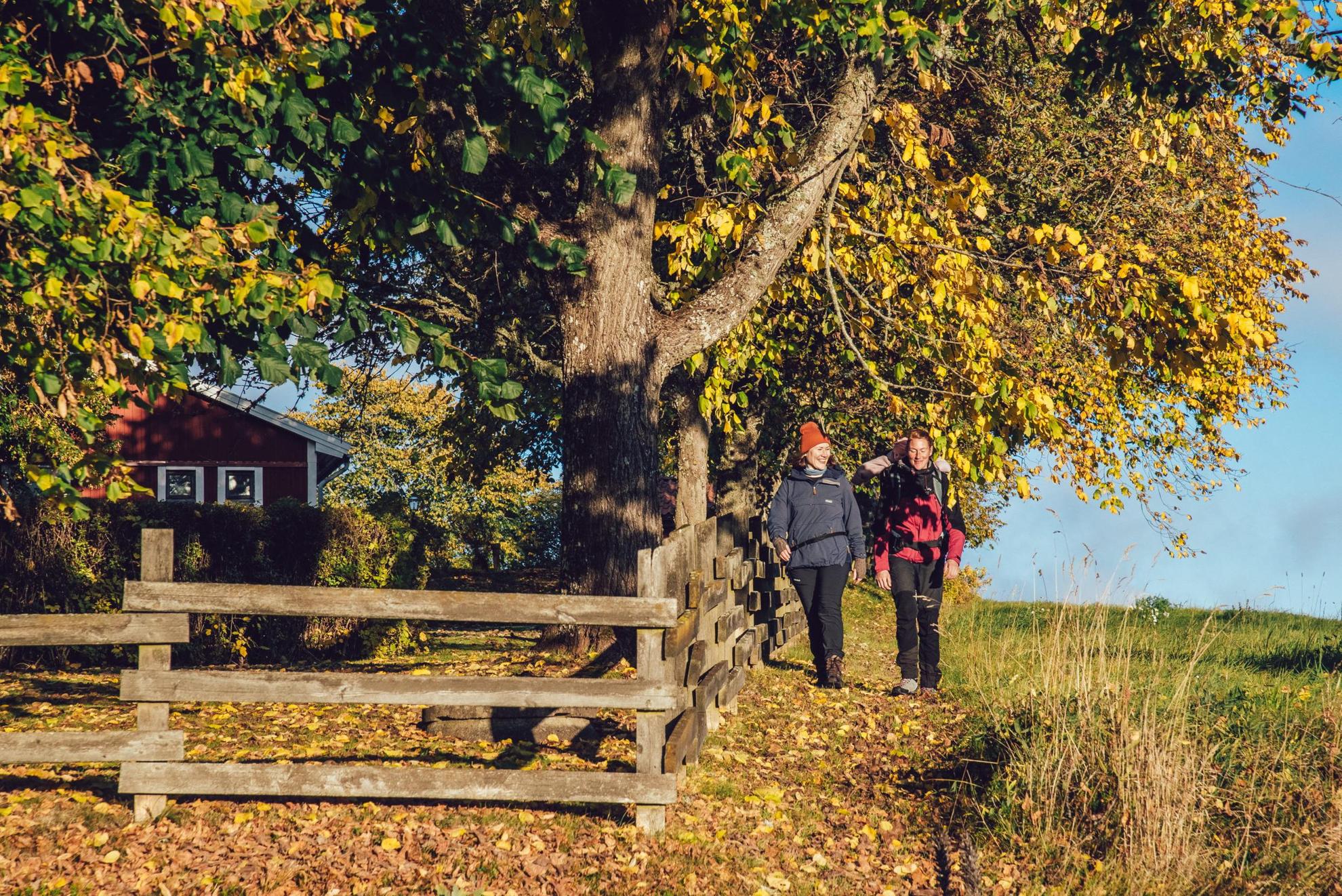 Deux personnes sont en train de marcher à côté d'une barrière en bois par une belle journée d'automne ensoleillée.