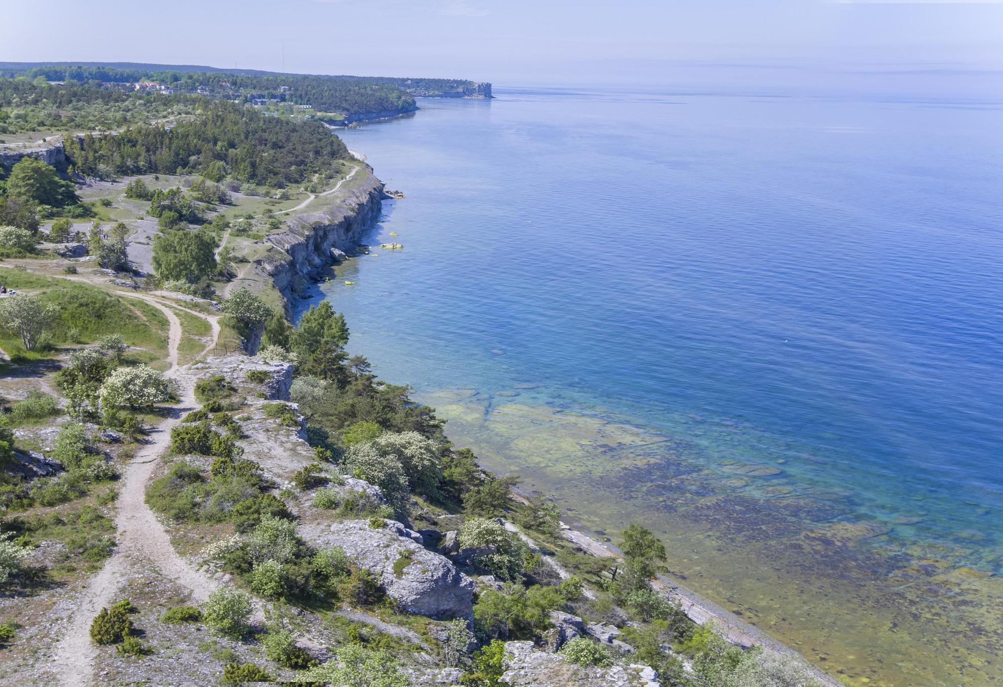 Le littoral de Gotland en été.