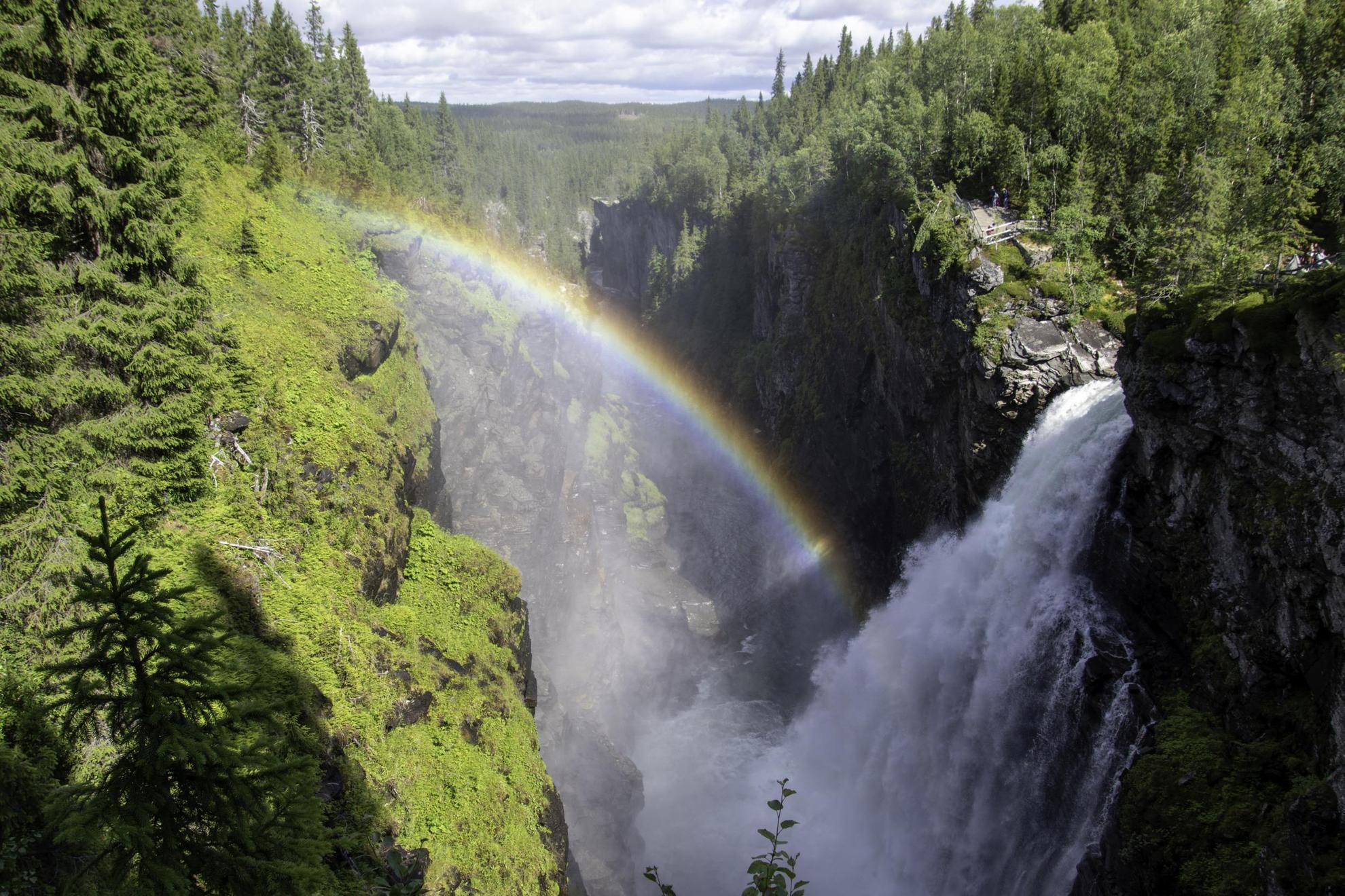 Une cascade se précipite du haut d'une falaise dans la forêt. On voit un arc-en-ciel dans la vapeur d'eau de la chute.