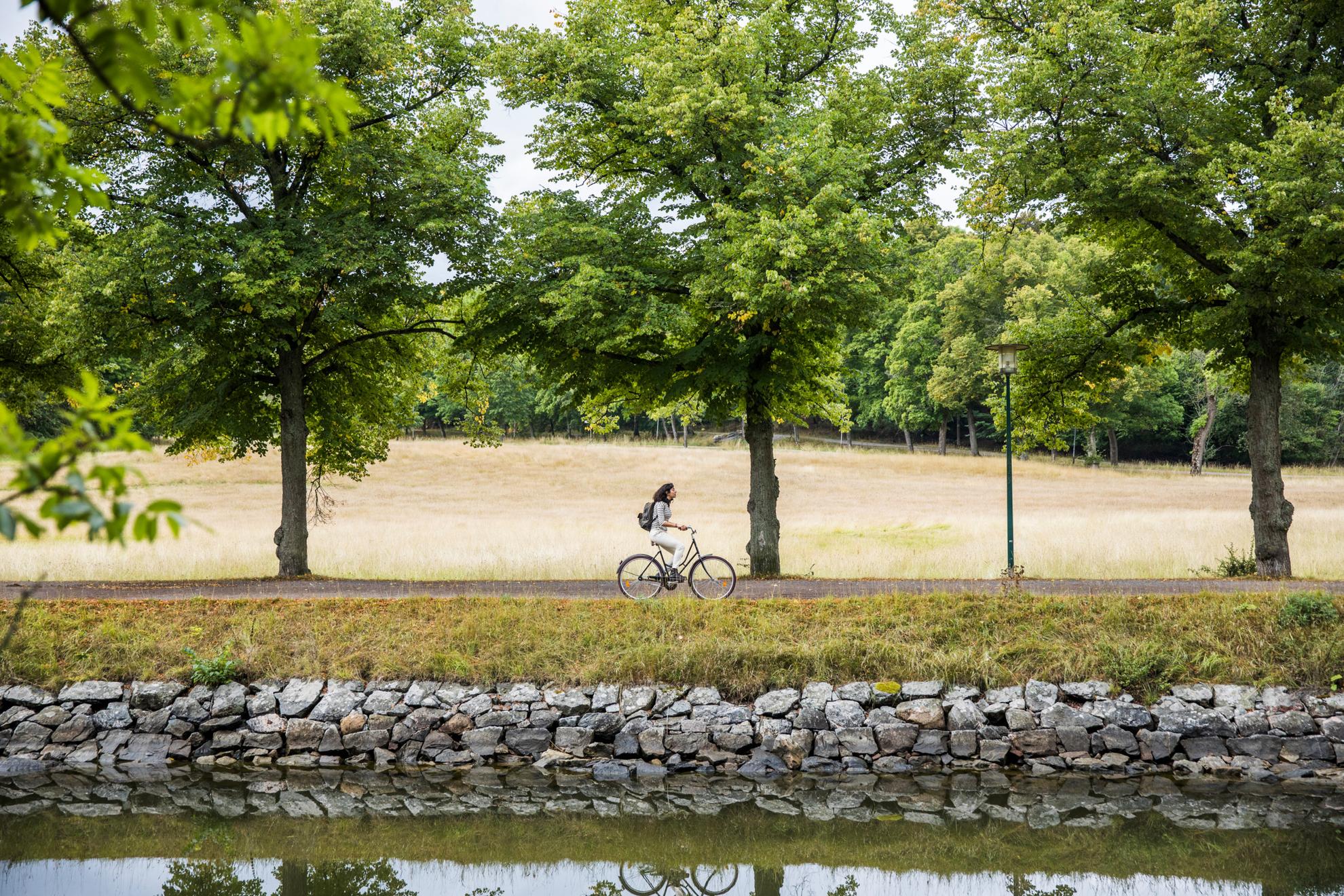 Une femme fait du vélo le long d'un canal dans le parc de Djurgården. La route est bordée d'arbres et d'une prairie.