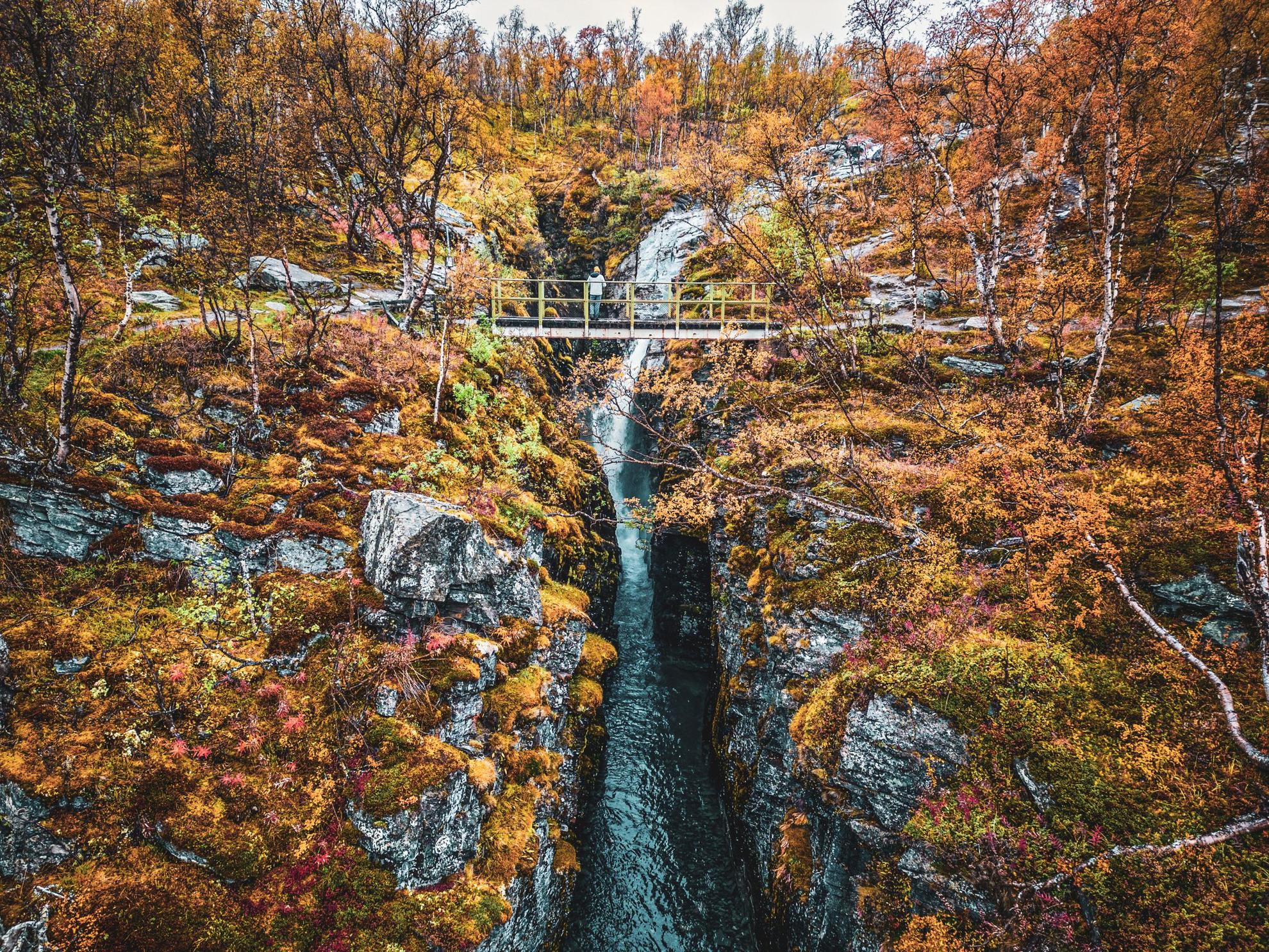 Une personne se tient debout sur un petit pont et regarde une chute d'eau pendant l'automne.