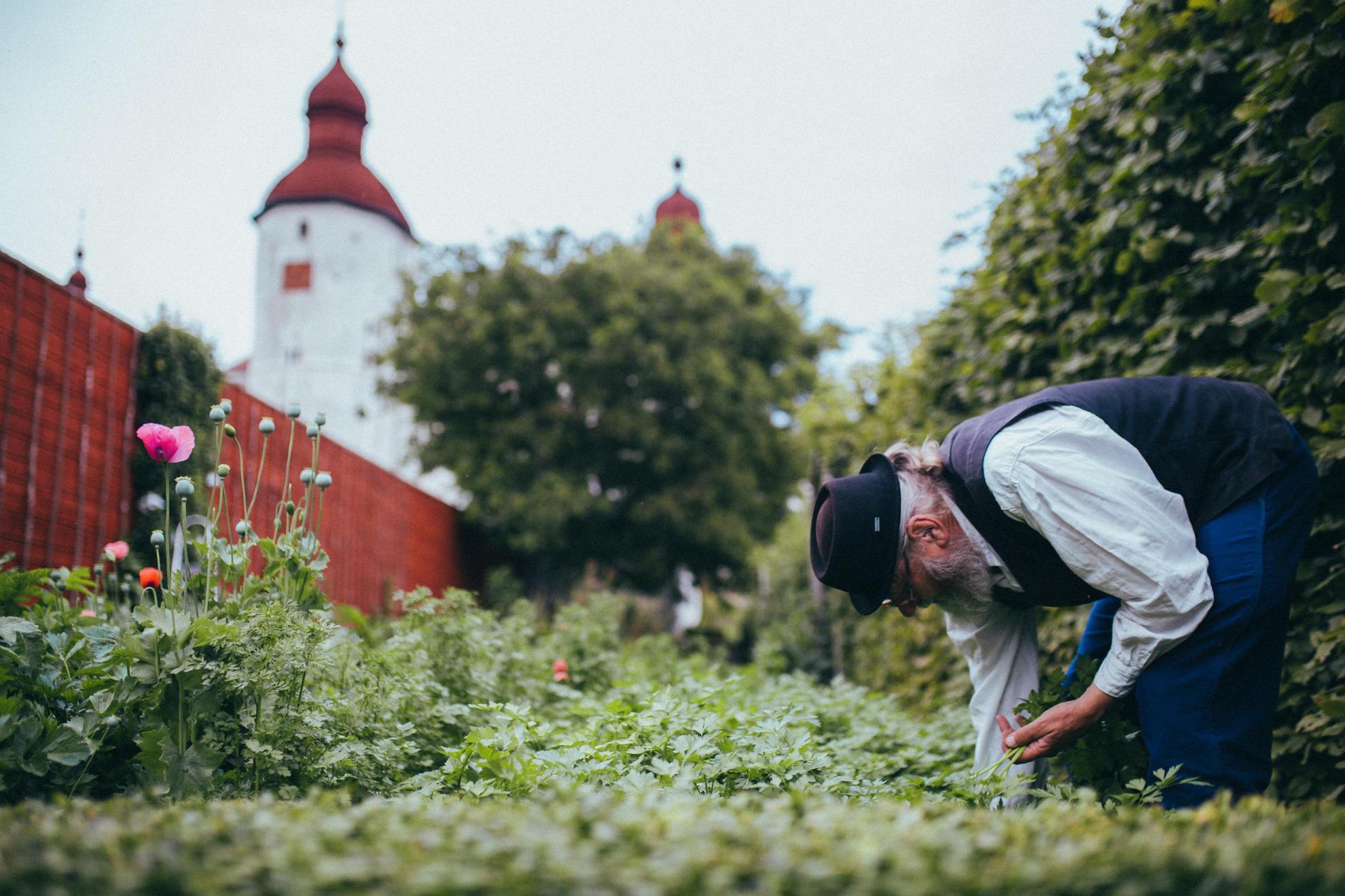 Le jardin du château Läckö dans l'Ouest de la Suède