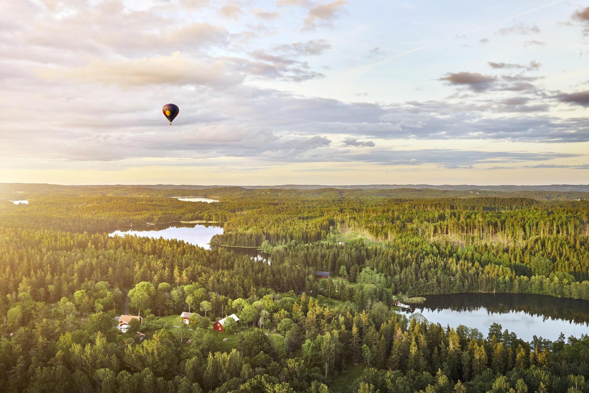 Les forêts du Småland