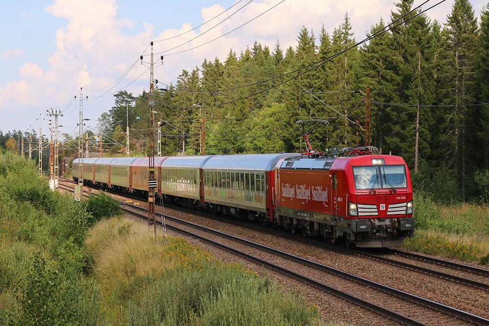 Un train voyageant sur une ligne de chemin de fer avec la forêt en arrière-plan.