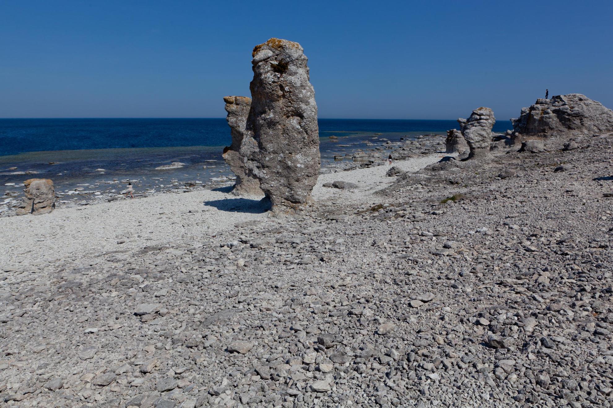 Monolithes de calcaire sur une plage rocheuse de Gotland. Un homme se tient sur l'un des rochers, face à l'océan.
