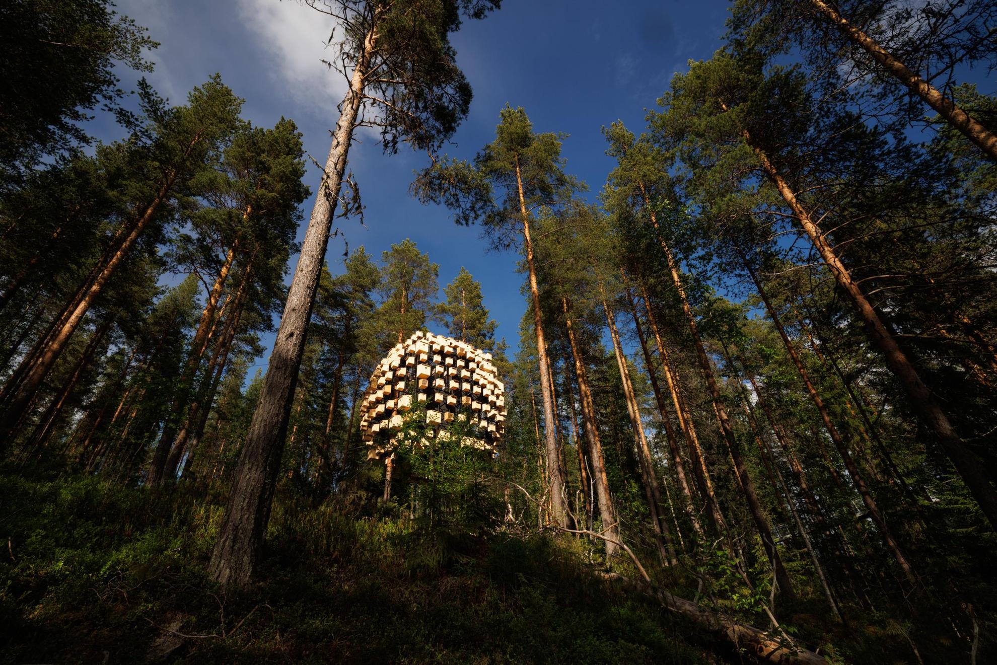 Une cabane dans les arbres dans la forêt. Plusieurs nids d'oiseaux décorent la façade de la cabane.