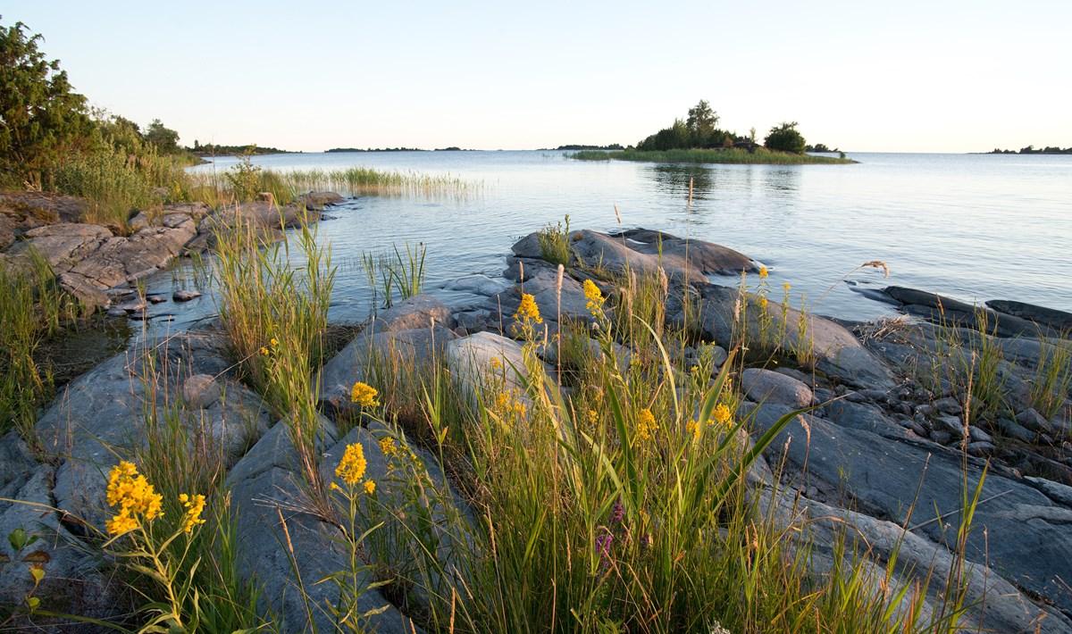 Lac Vänern dans le Dalsland