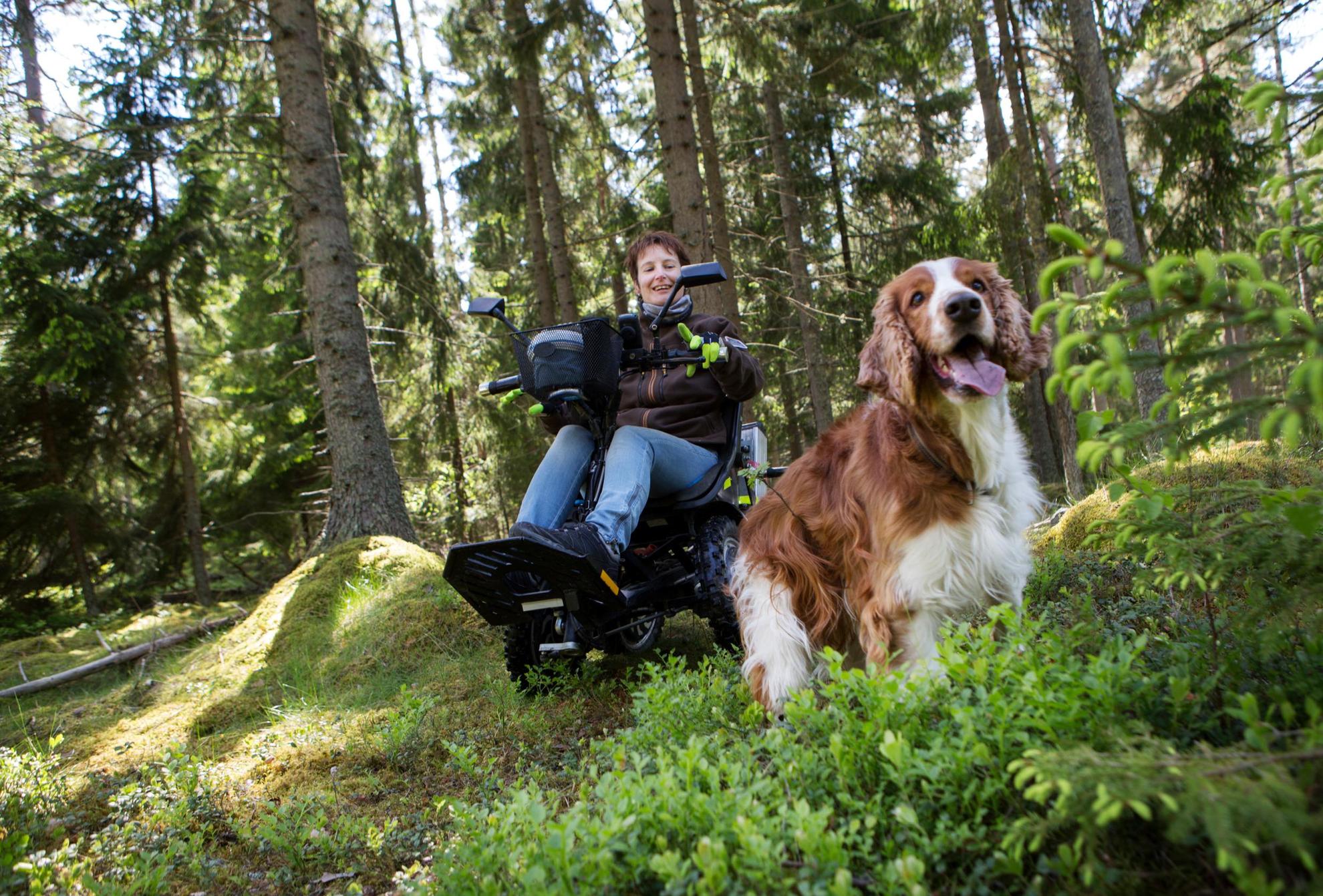 Une femme et un chien sont dans la forêt, en dehors du chemin. La femme conduit un fauteuil roulant.